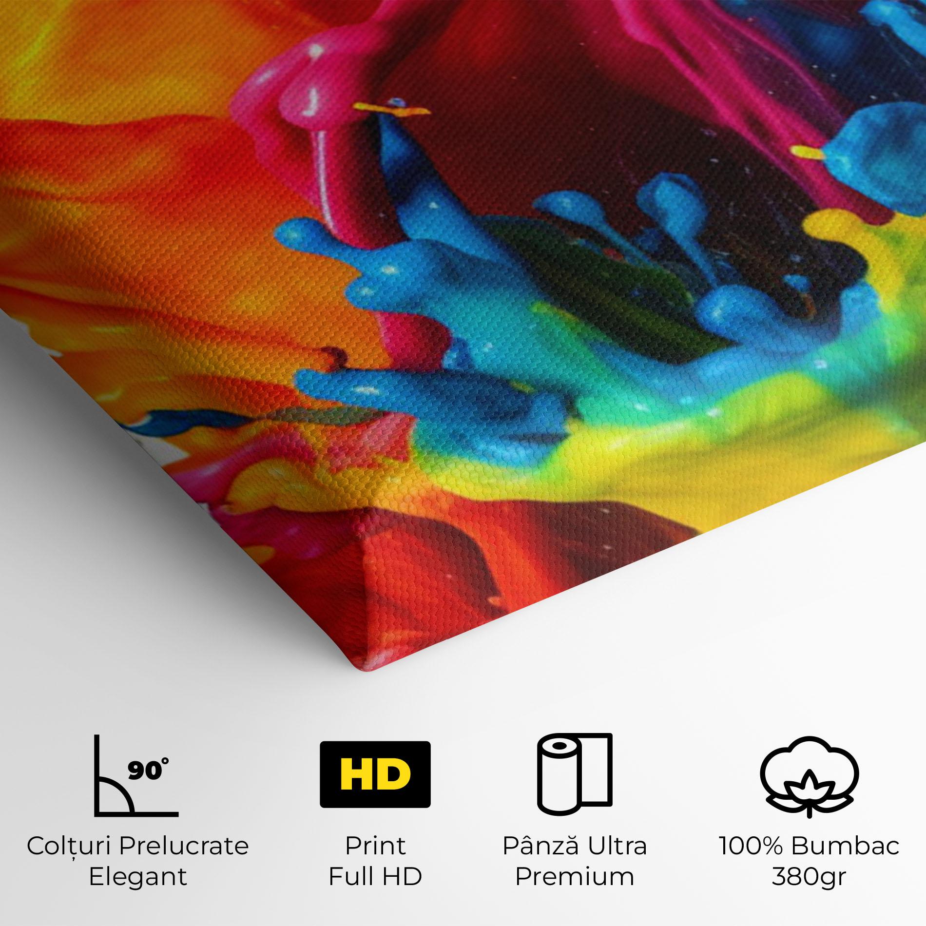 Tablou Canvas Colorful Explosion Paint mockup 4