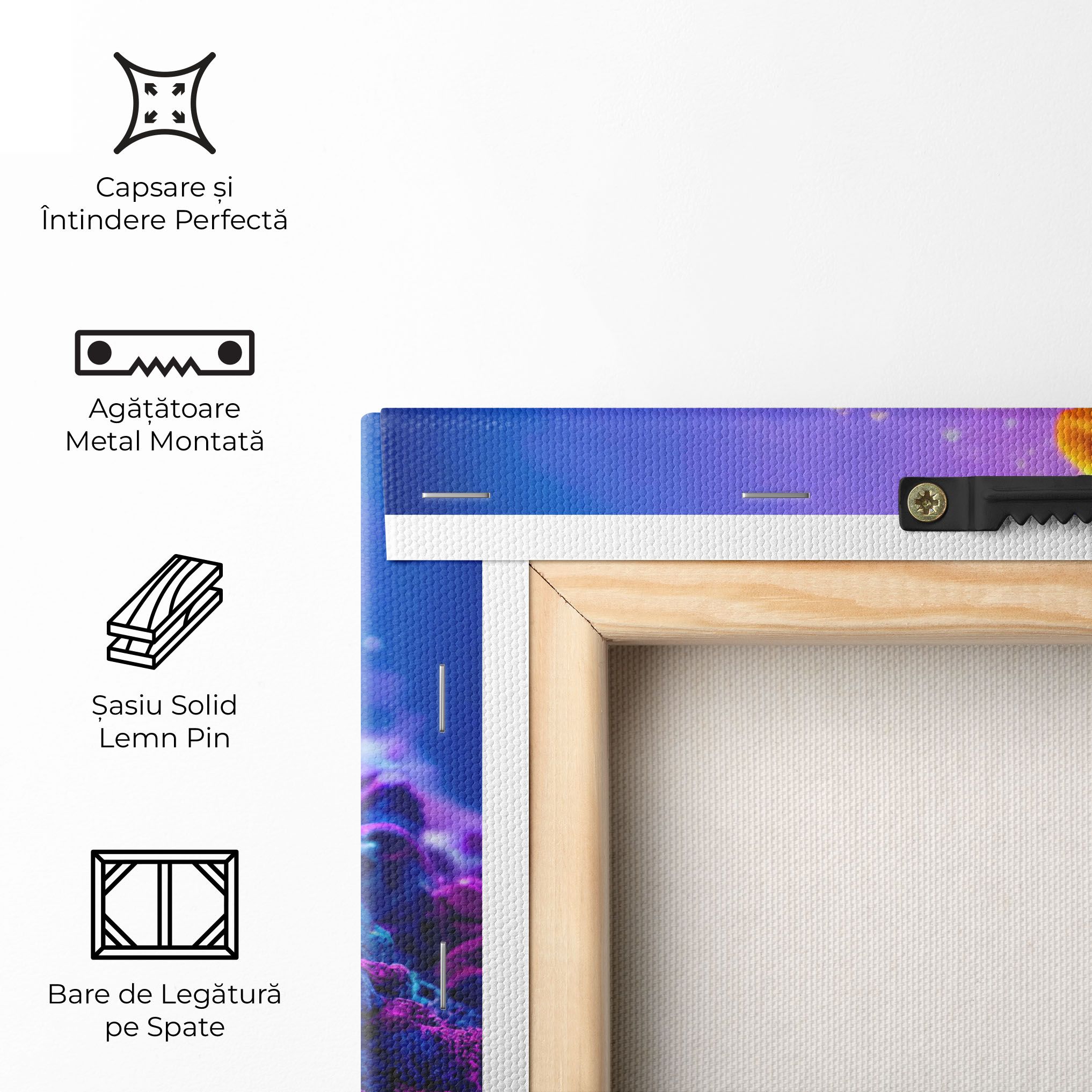 Color Powder Explosion mockup 5