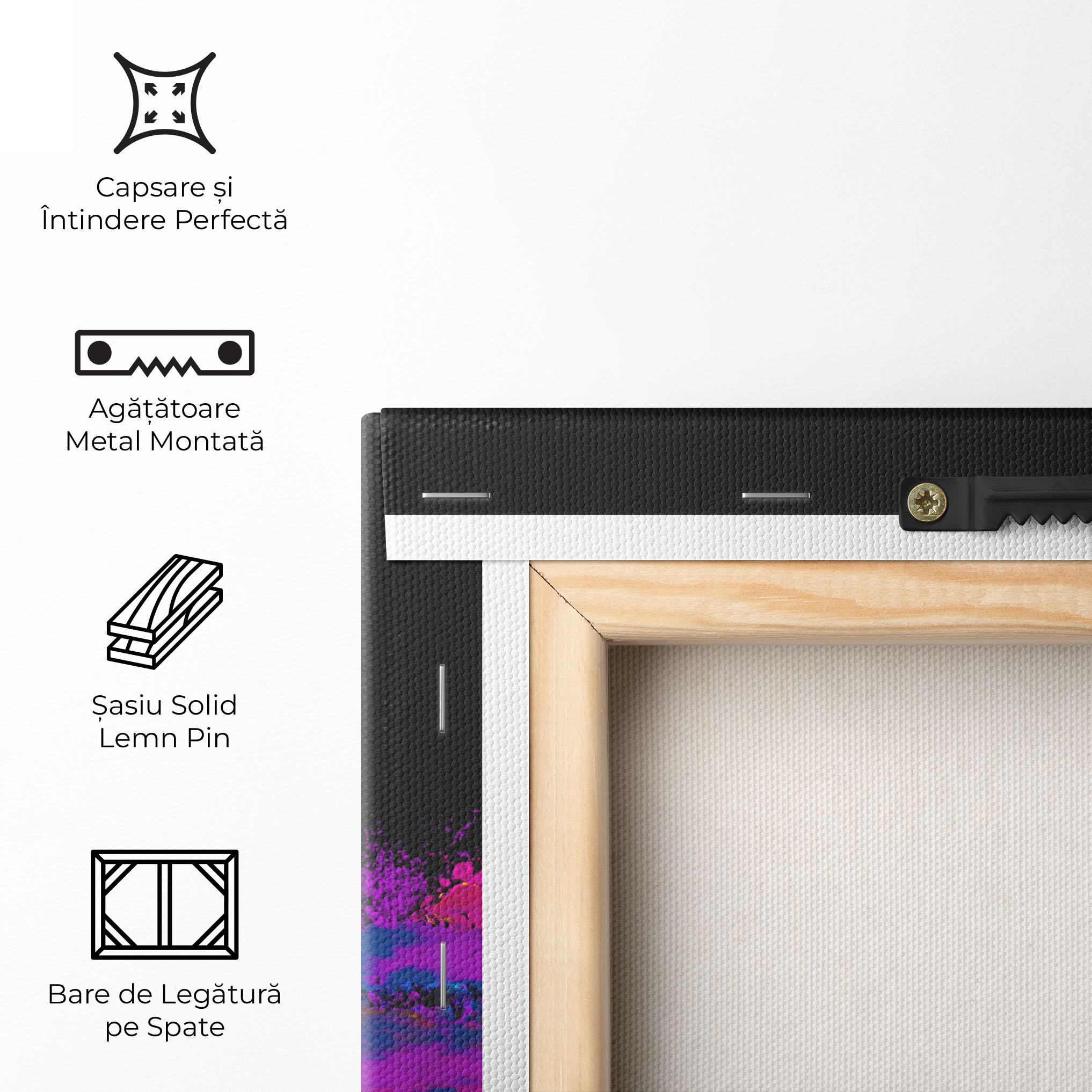 Tablou Canvas Mixed Holi Colors mockup 5