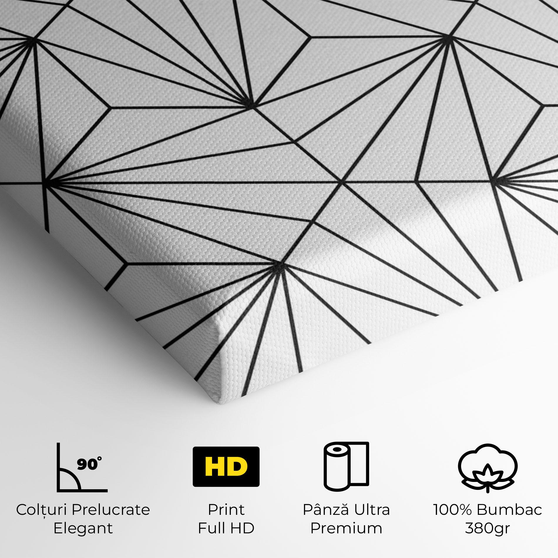 Tablou Canvas Black Triangle mockup 4