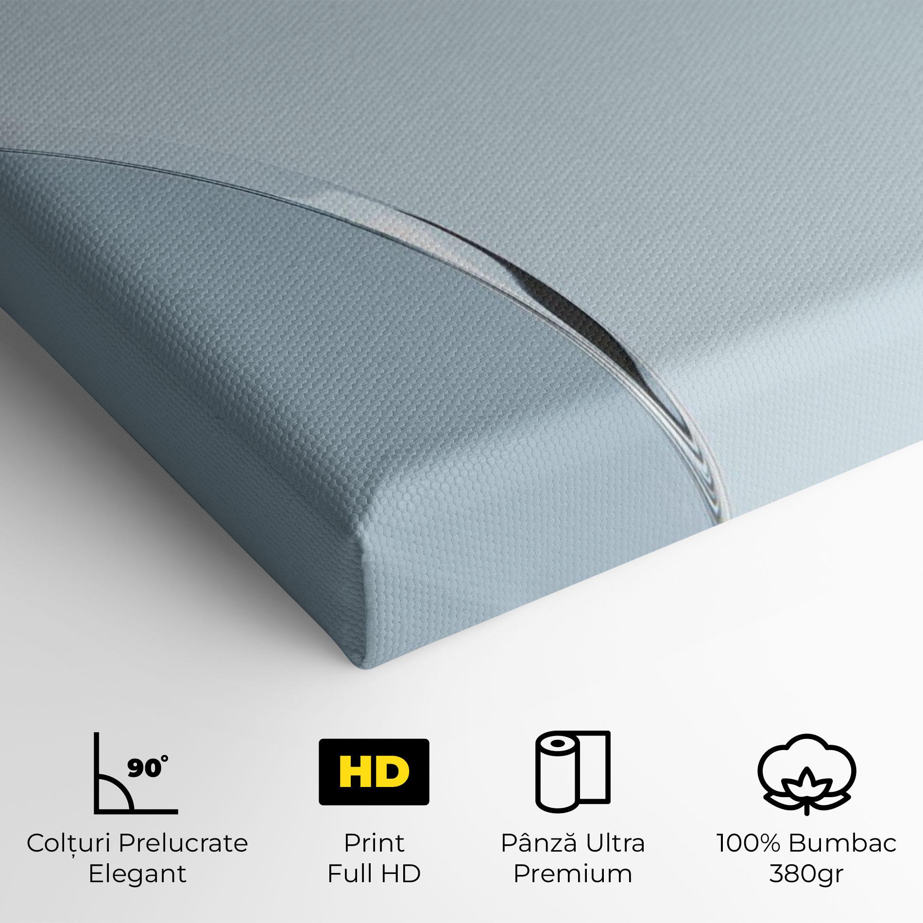 Tablou Canvas Blue Circle Floating mockup 4