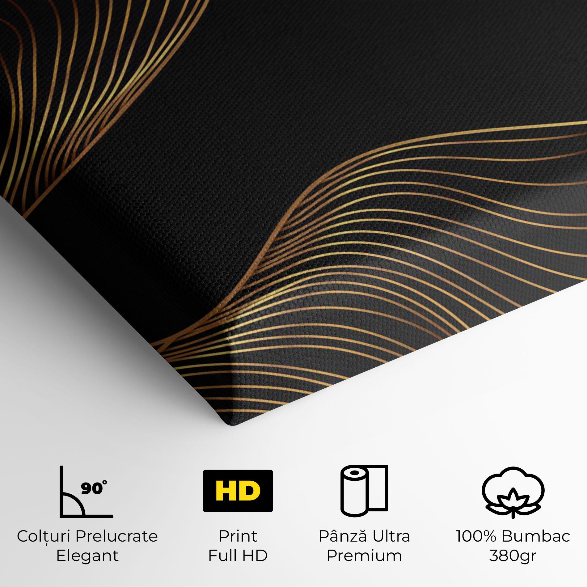 Tablou Canvas Frecventa Abstracta mockup 4