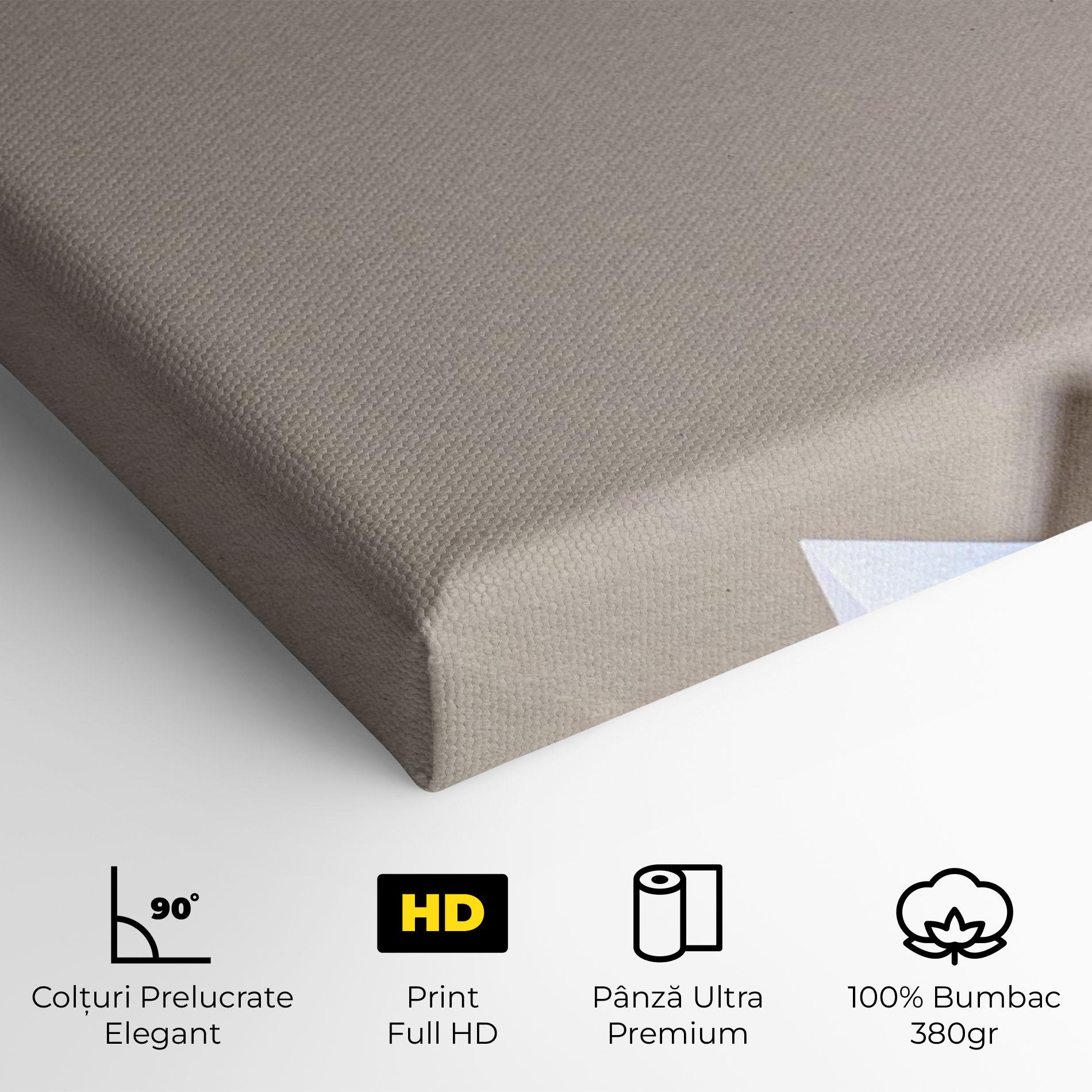 Tablou Canvas Geometric 3d Shapes mockup 4