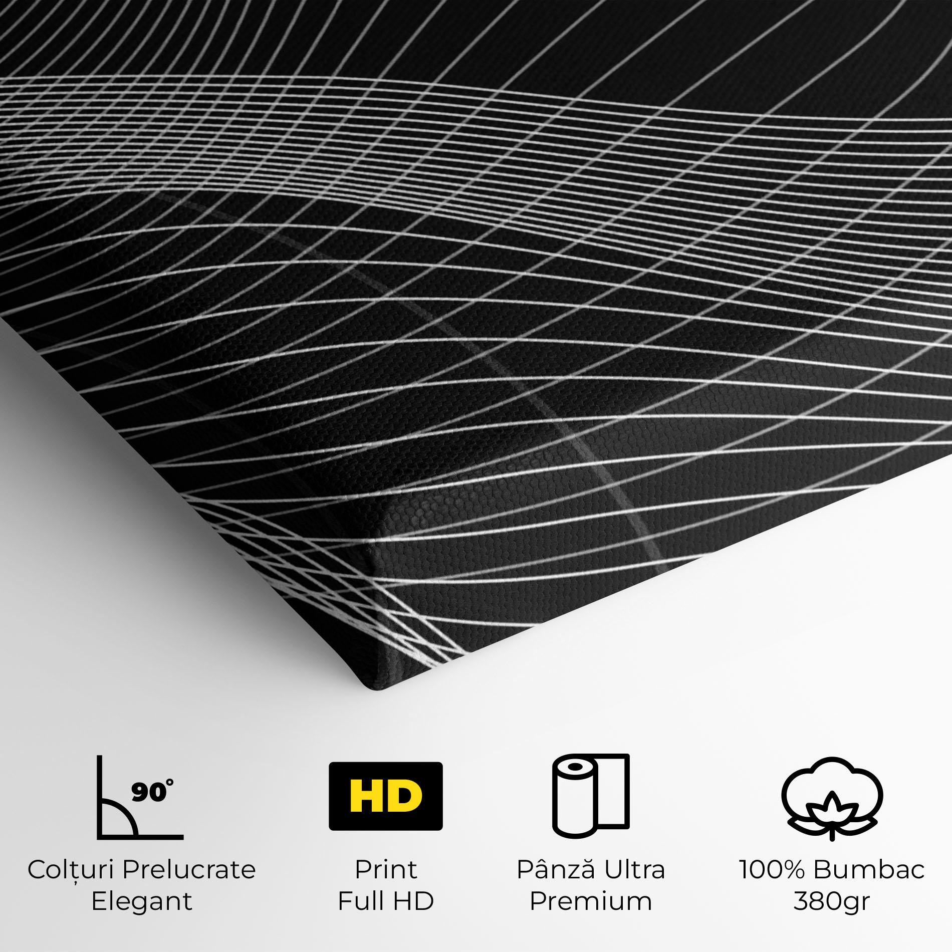 Tablou Canvas Geometric Lines mockup 4