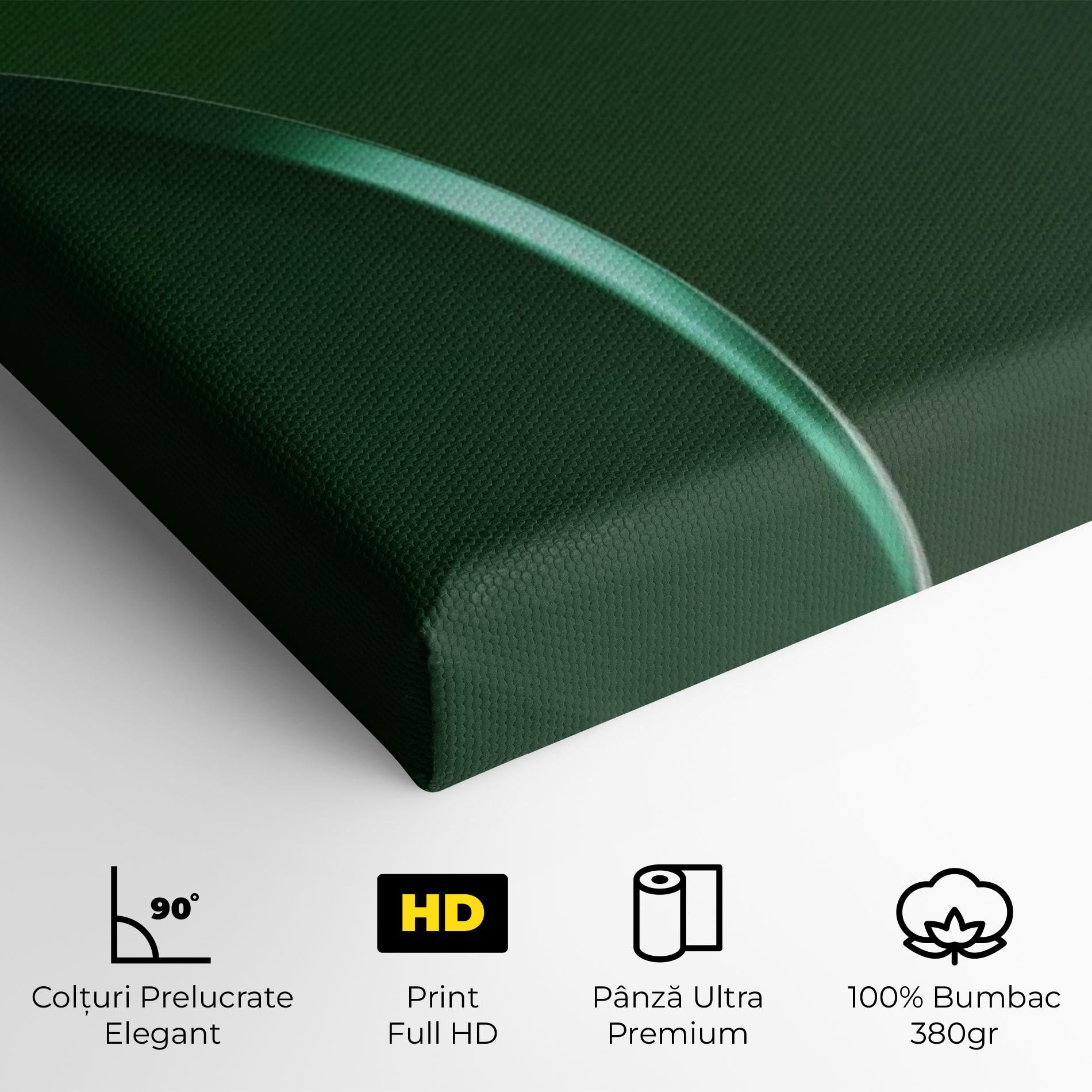 Tablou Canvas Green Circle Floating mockup 4