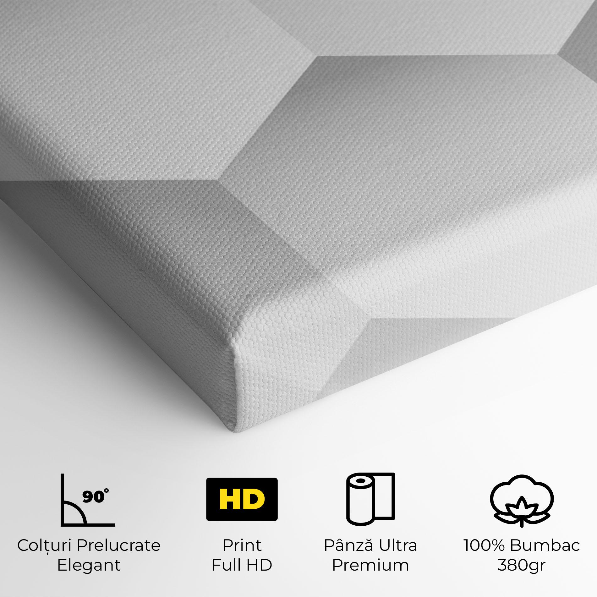 Tablou Canvas Grey White Triangle mockup 4