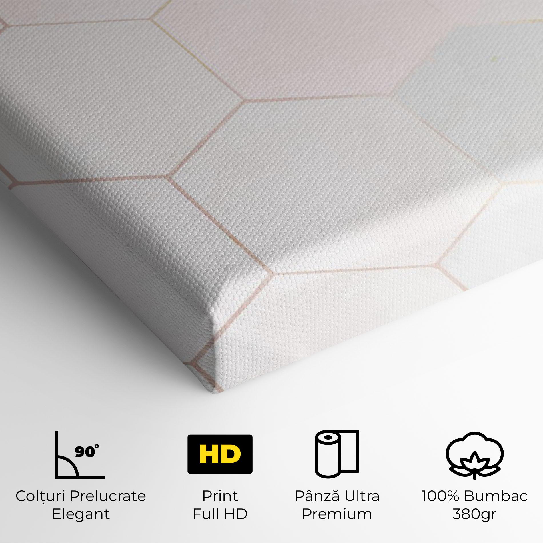 Tablou Canvas Hexagon Pink mockup 4