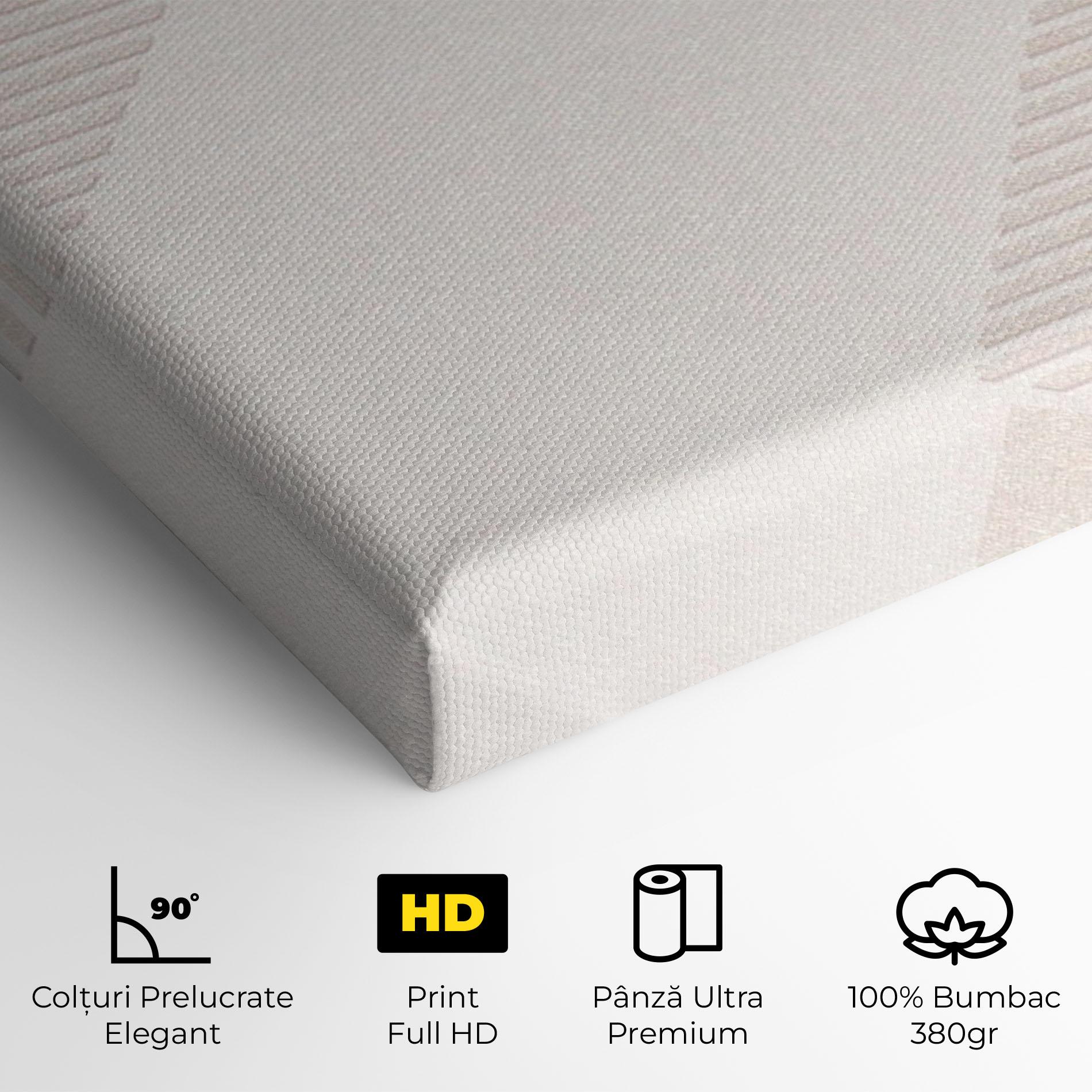 Tablou Canvas Light Cream Rhombus mockup 4