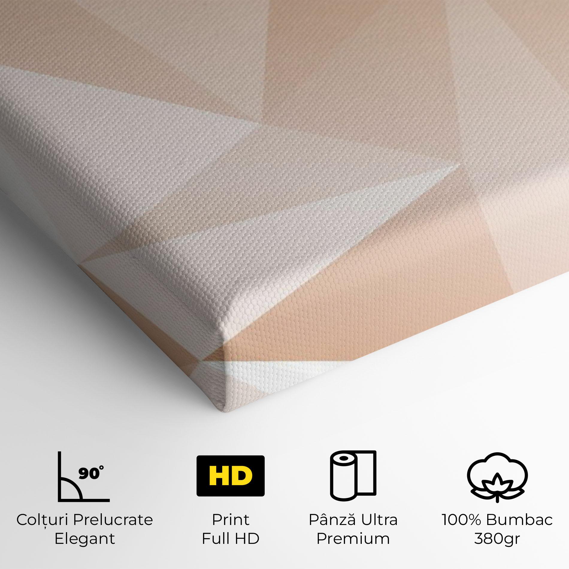 Tablou Canvas Light Pink Triangle mockup 4