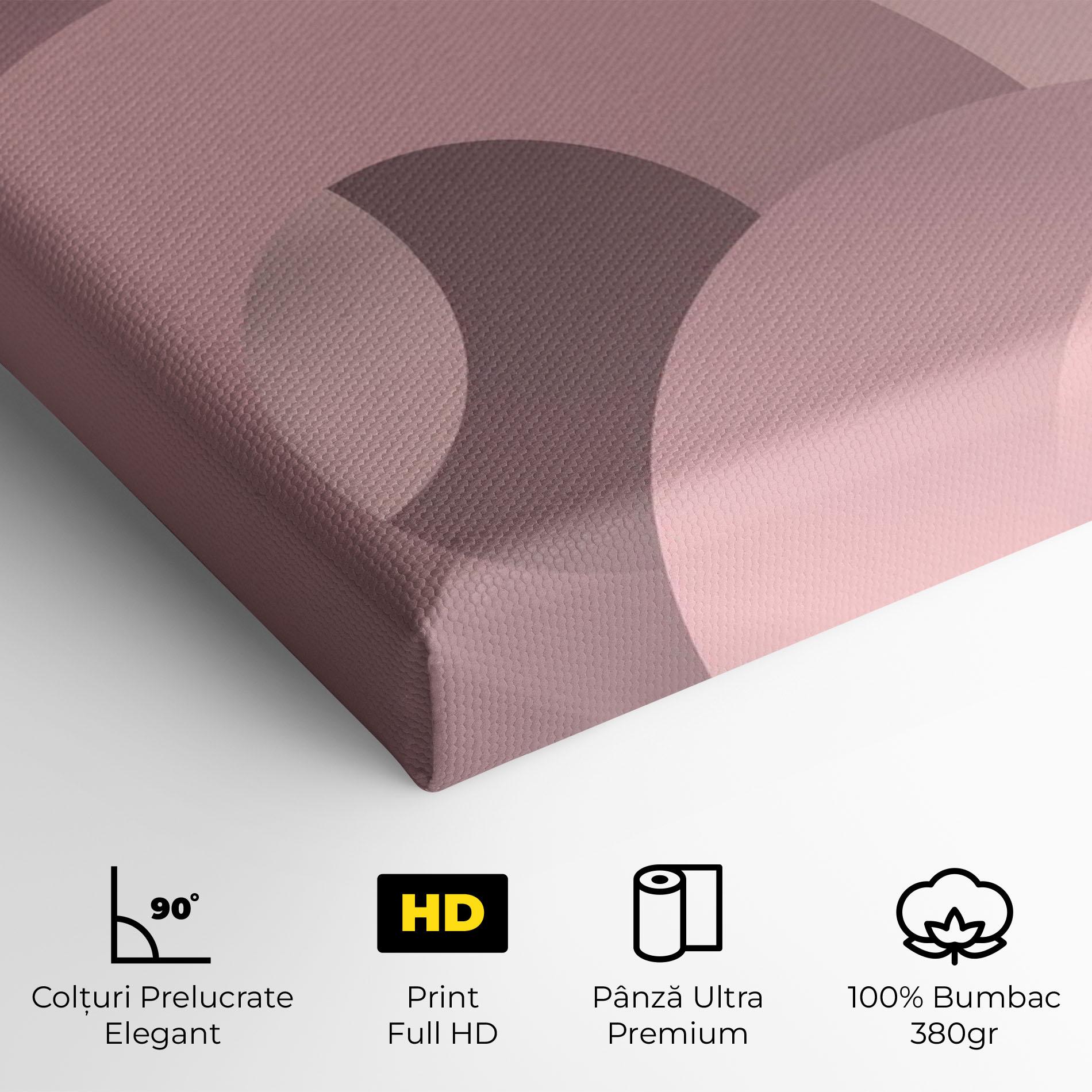 Tablou Canvas Pink Circle mockup 4