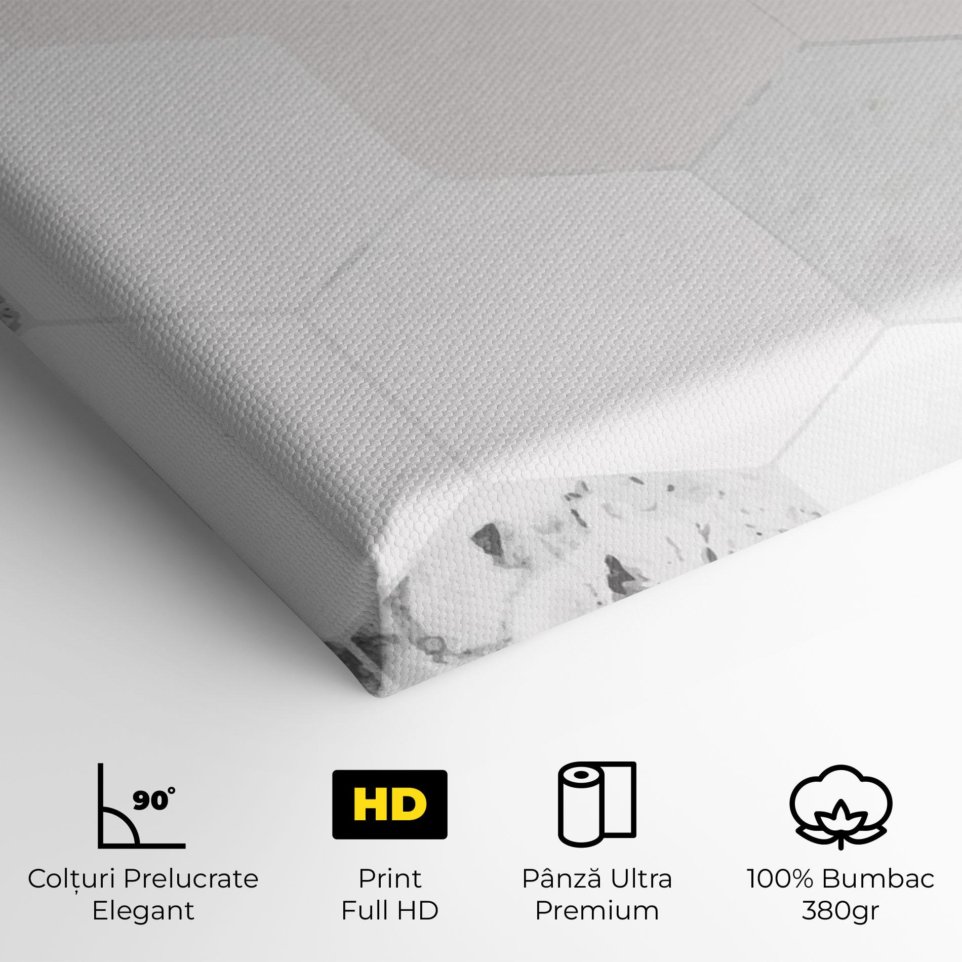 Tablou Canvas Pink Hexa Pattern mockup 4