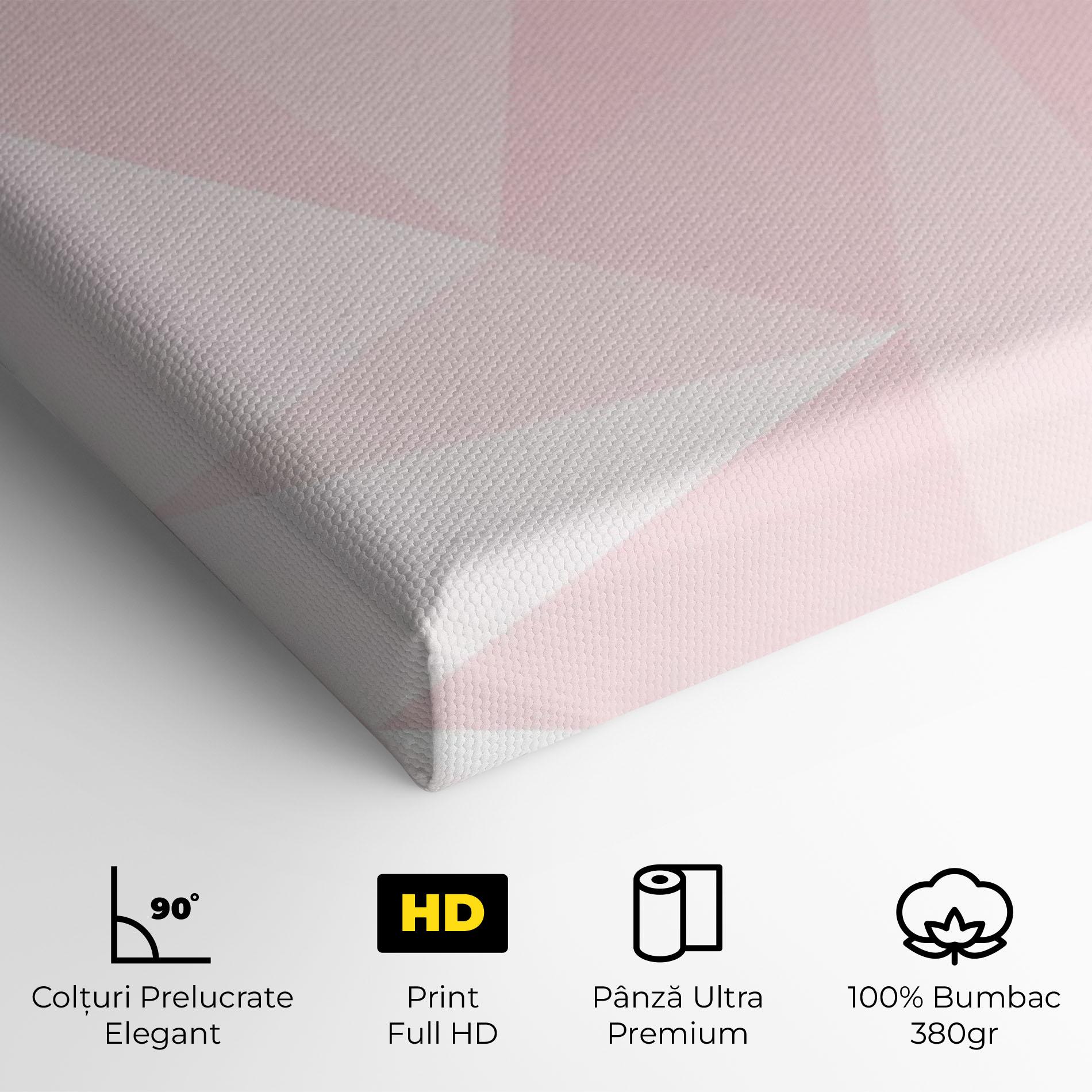 Tablou Canvas Pink Triangle mockup 4