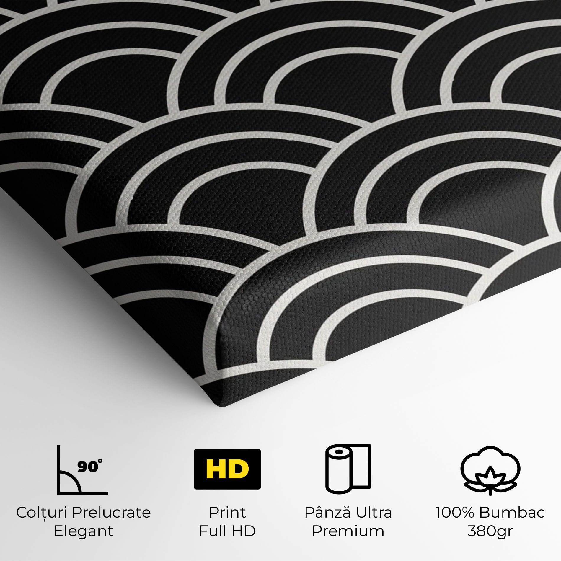 Semi Circle mockup 4