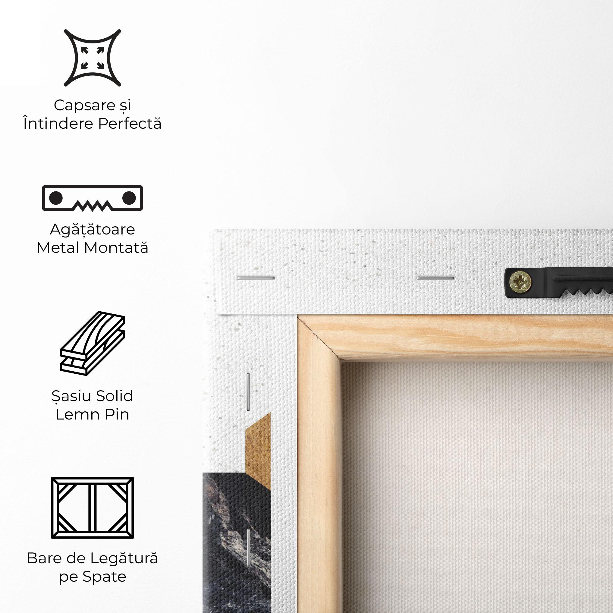 Tablou Canvas Big Hexagon mockup 5