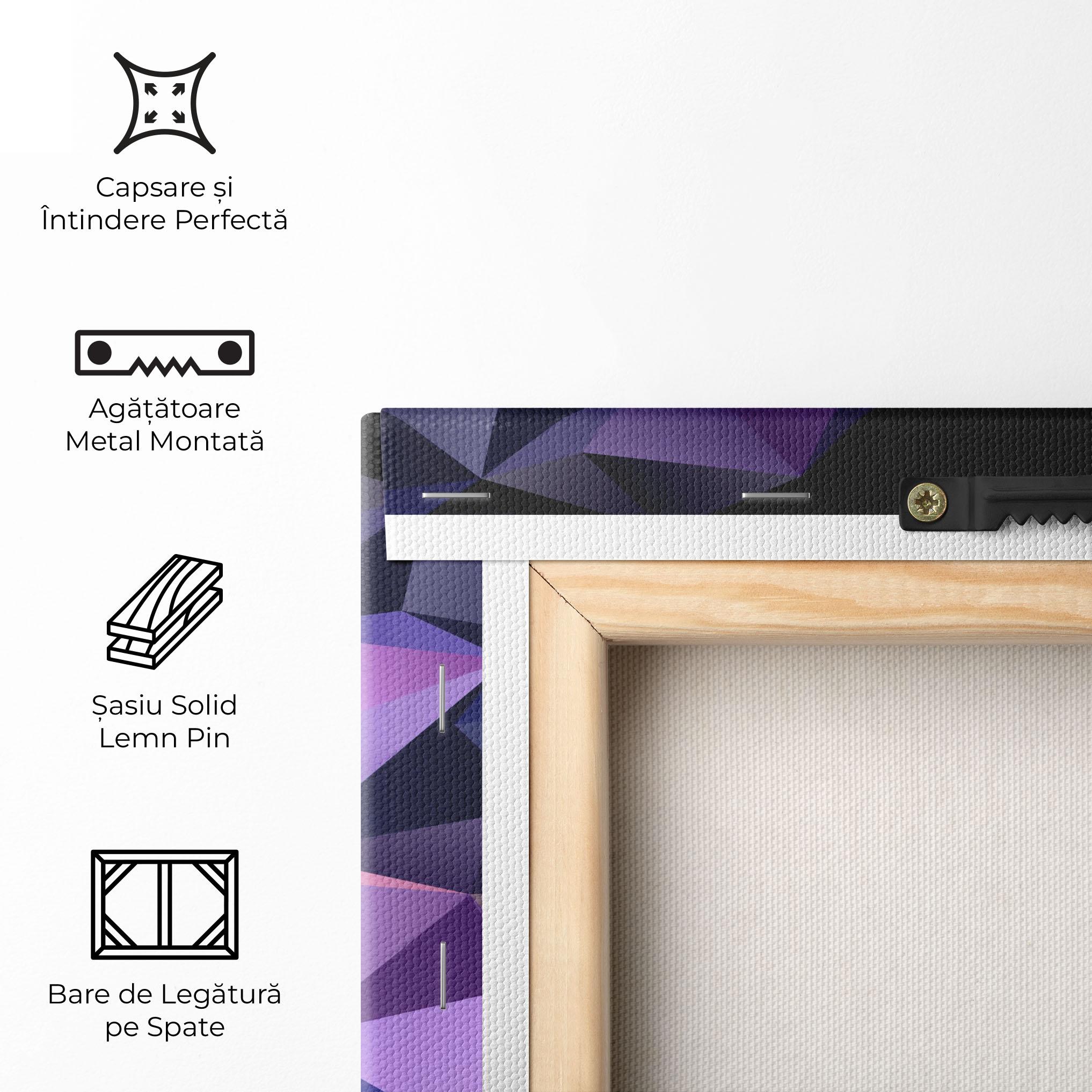 Tablou Canvas Black Purple Triangle mockup 5