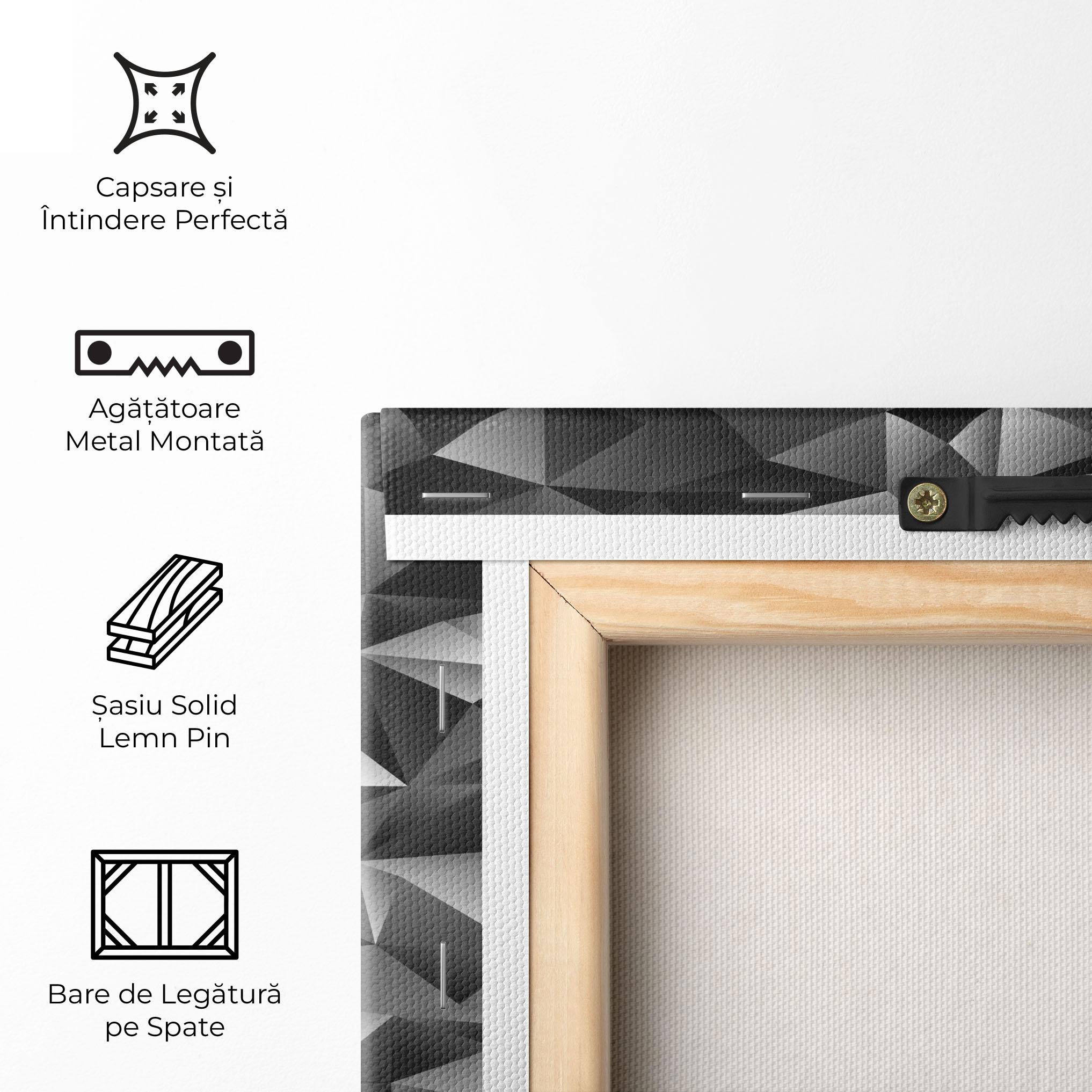 Tablou Canvas Black Triangle Pattern mockup 5