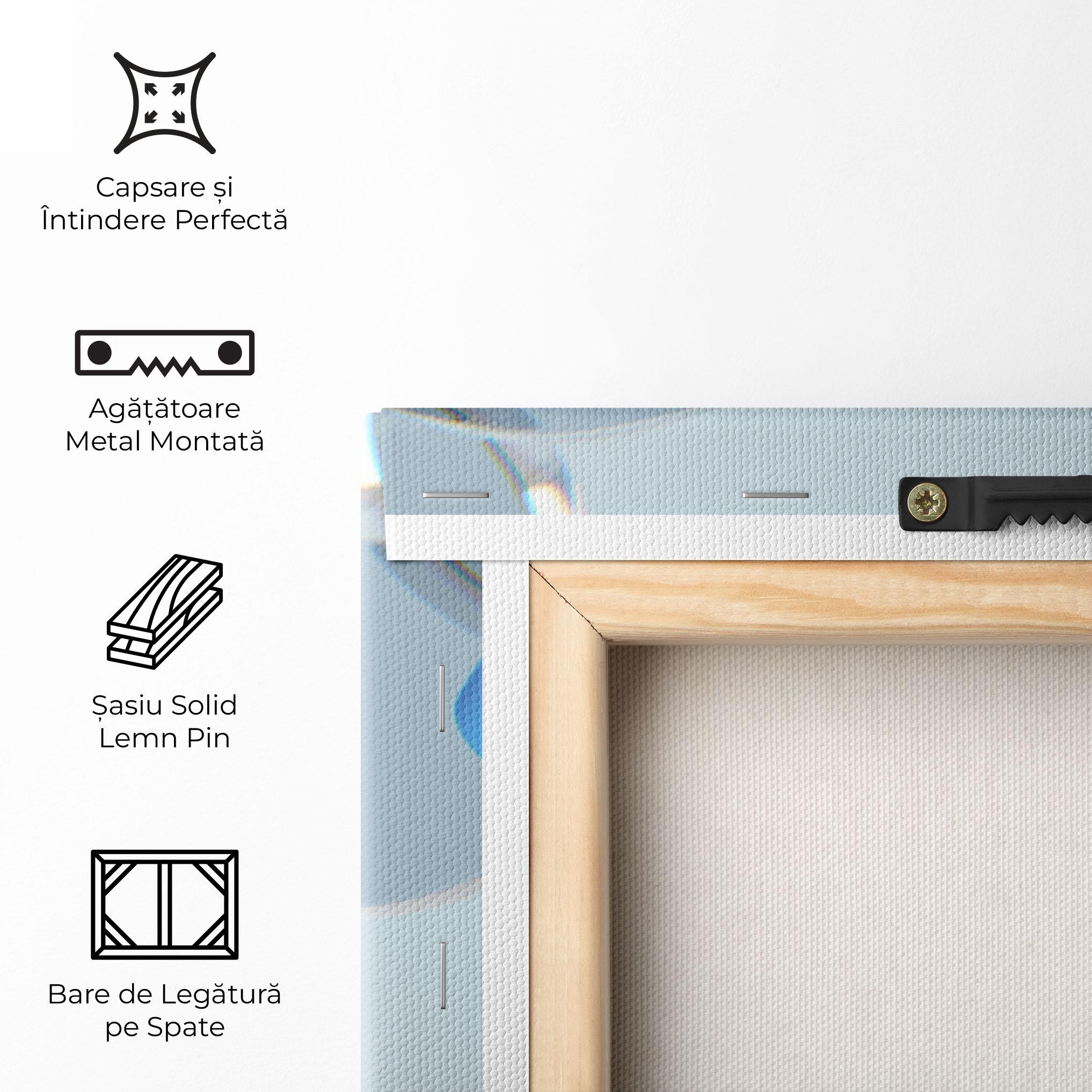 Tablou Canvas Blue Circle Floating mockup 5