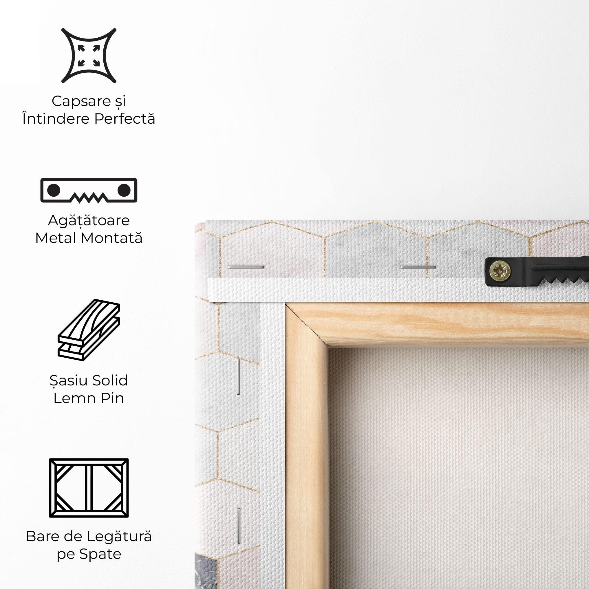 Tablou Canvas Grey Pink Hexagon mockup 5