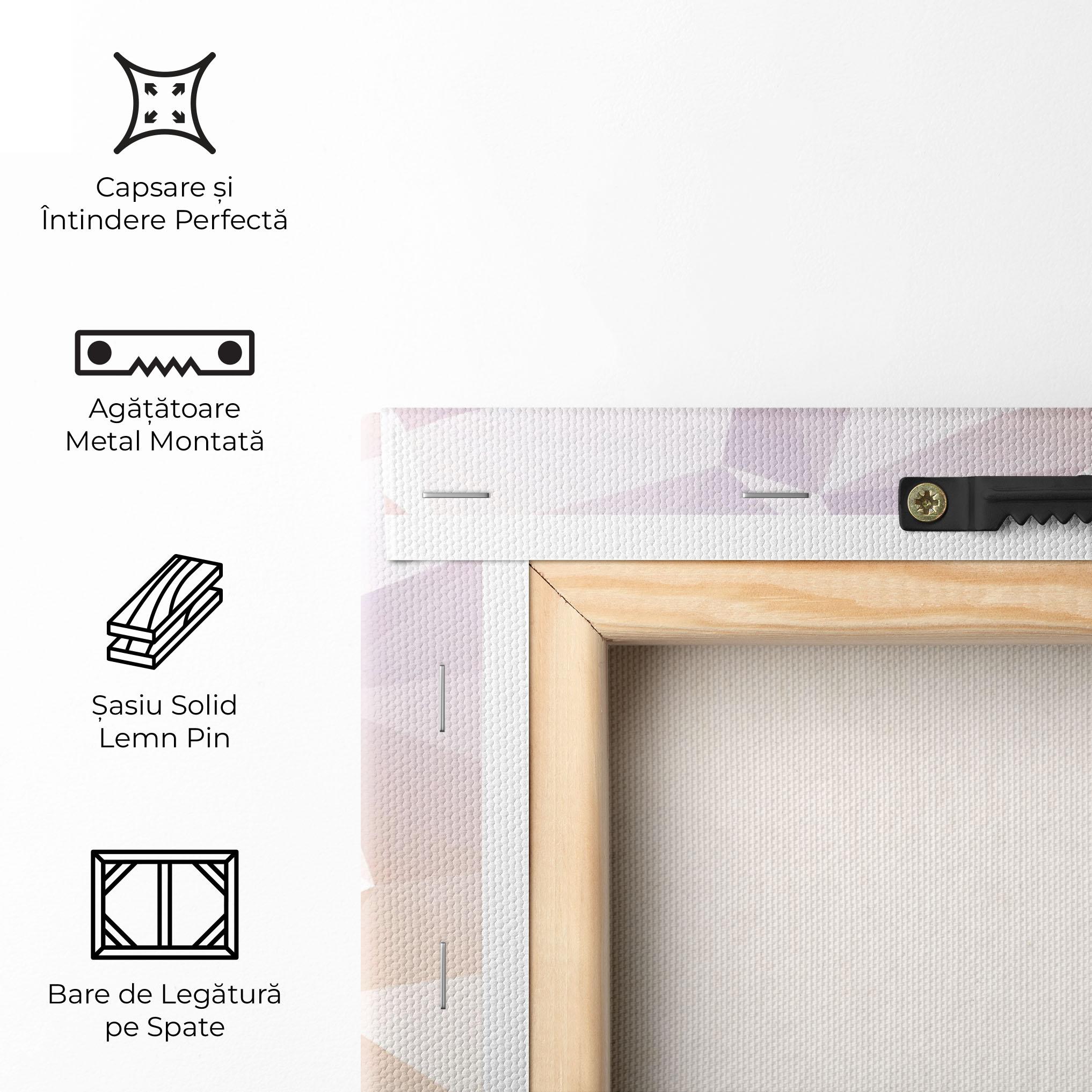 Tablou Canvas Light Pink Triangle mockup 5