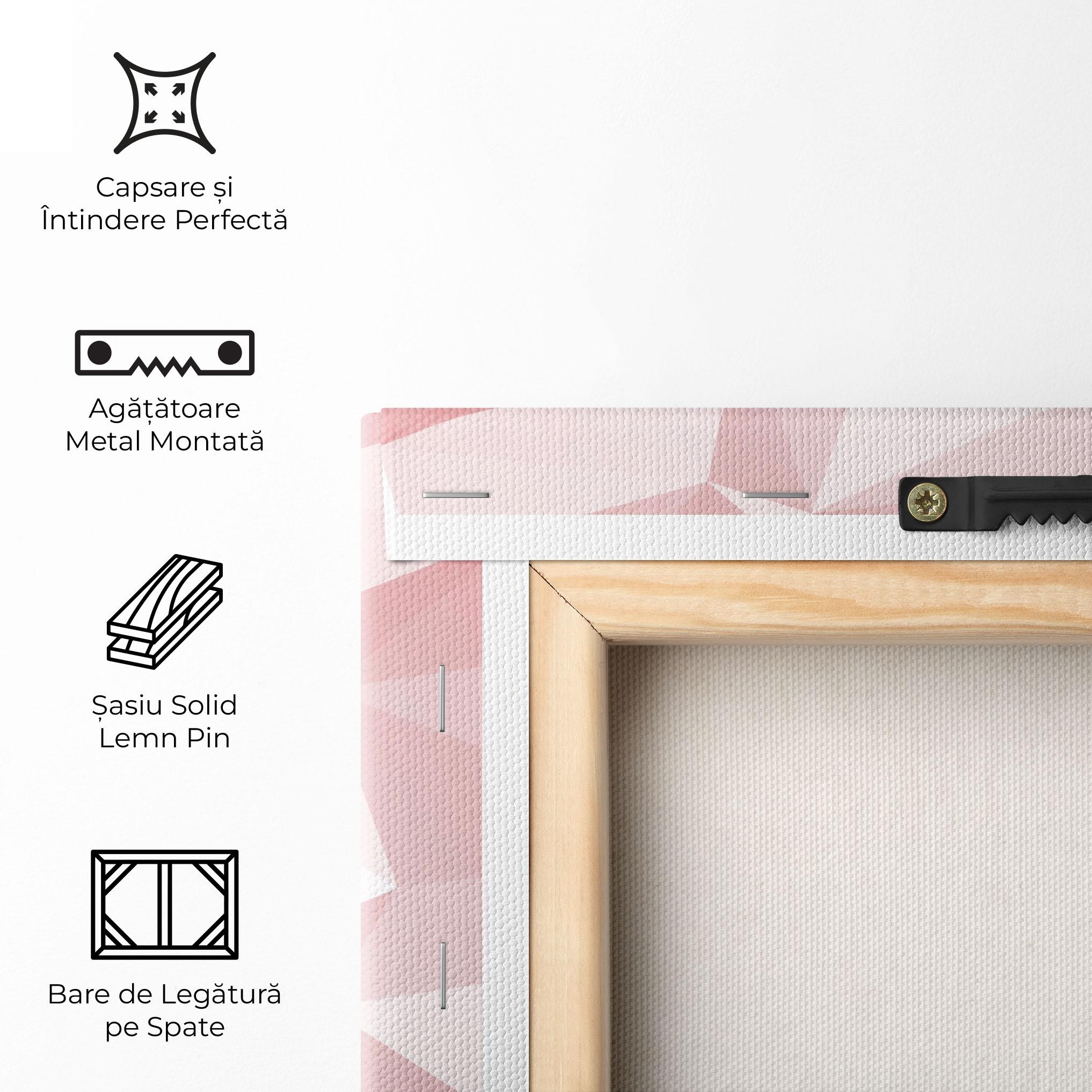 Tablou Canvas Pink Triangle mockup 5