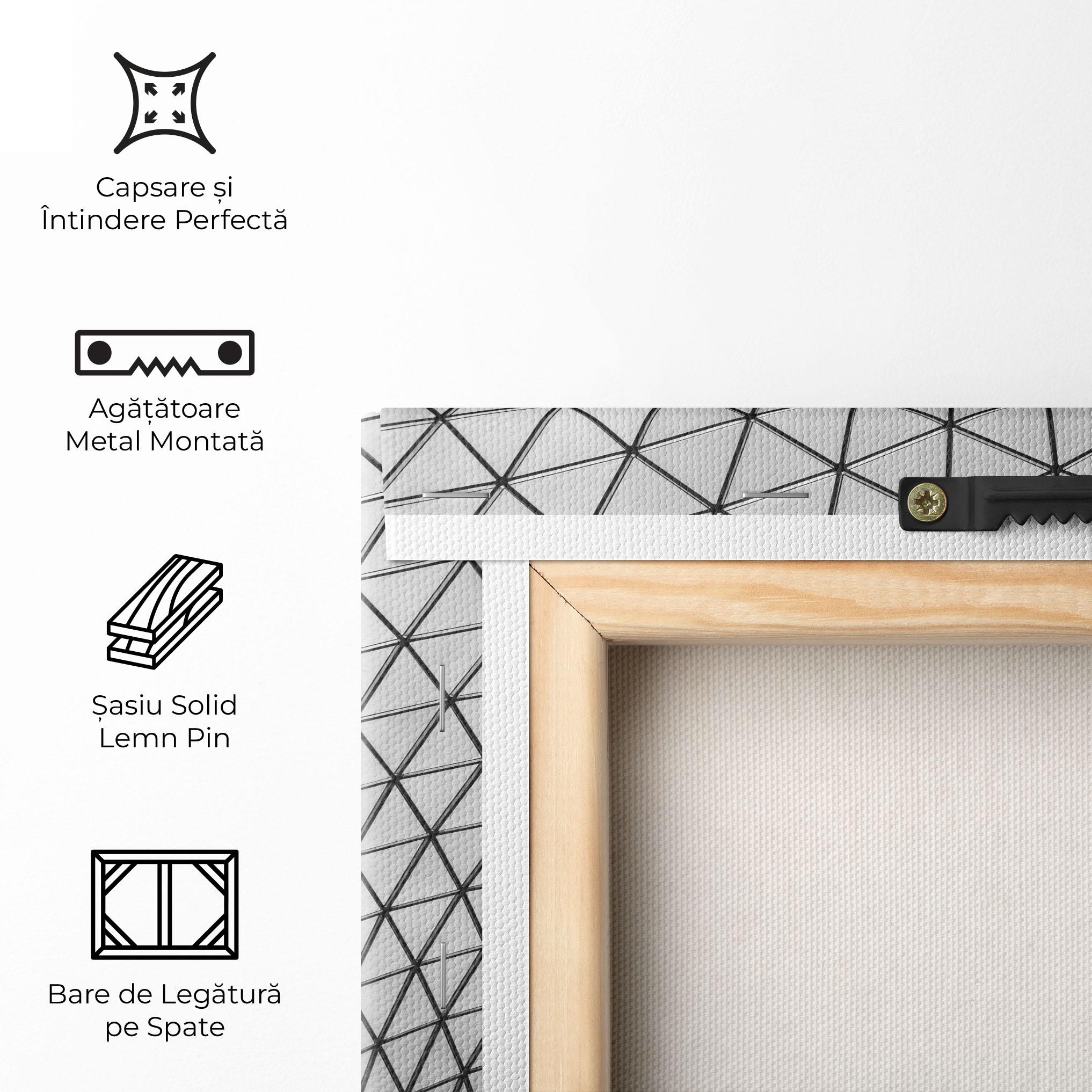 Tablou Canvas Triangle Ceiling mockup 5