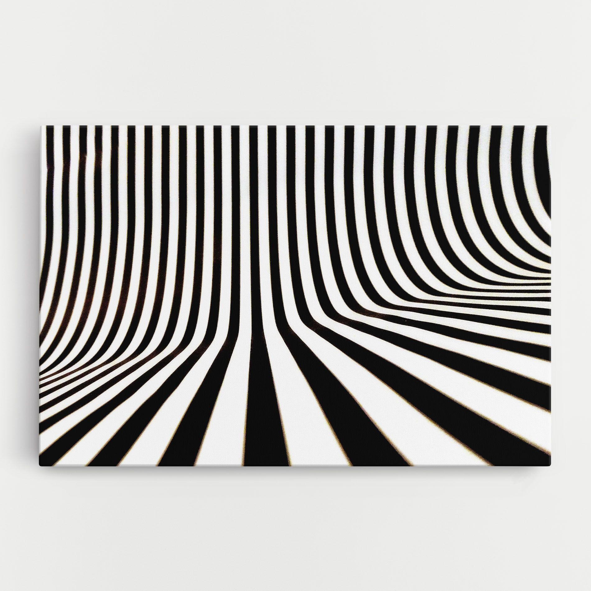 Black And White Illusion mockup 0