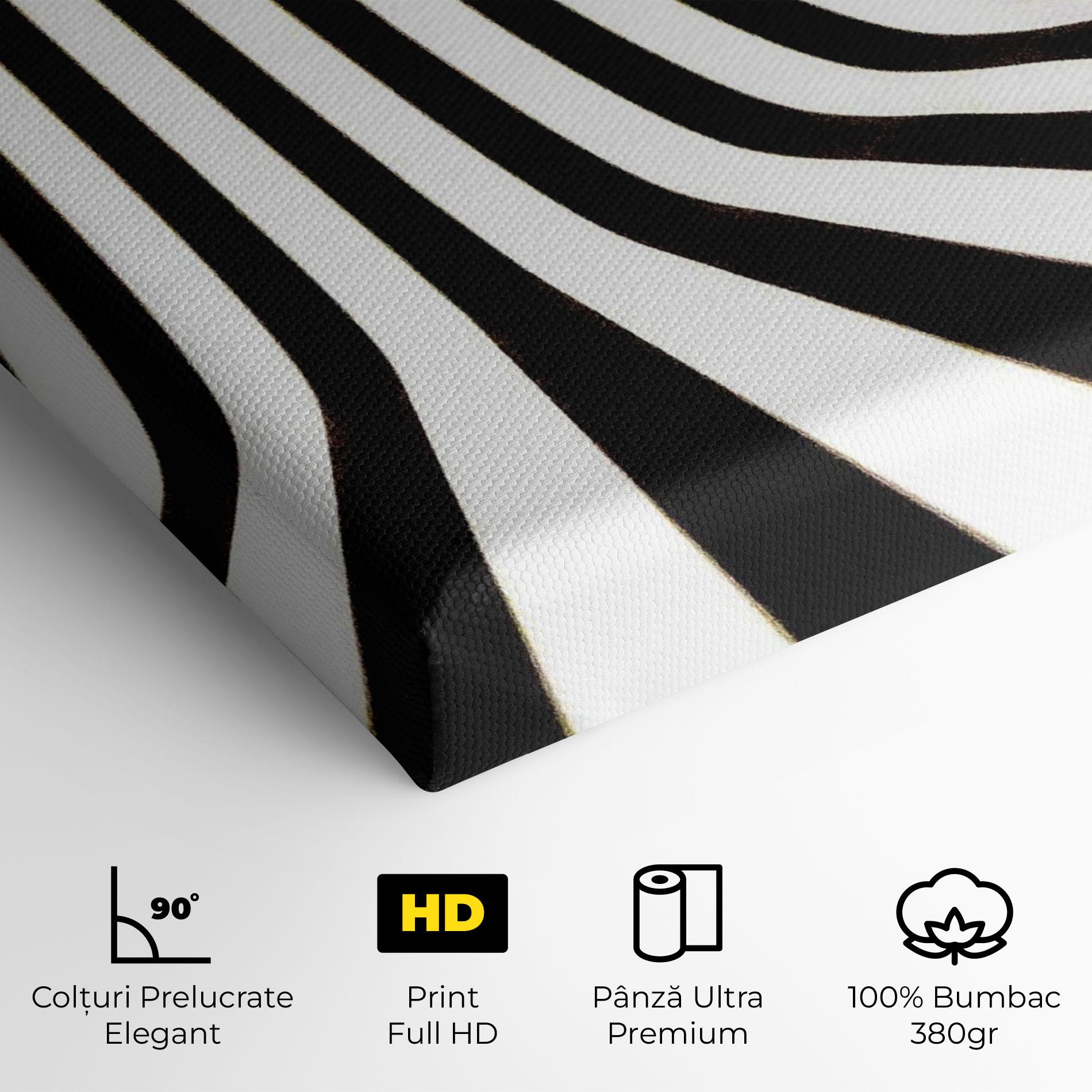 Tablou Canvas Black And White Illusion mockup 4