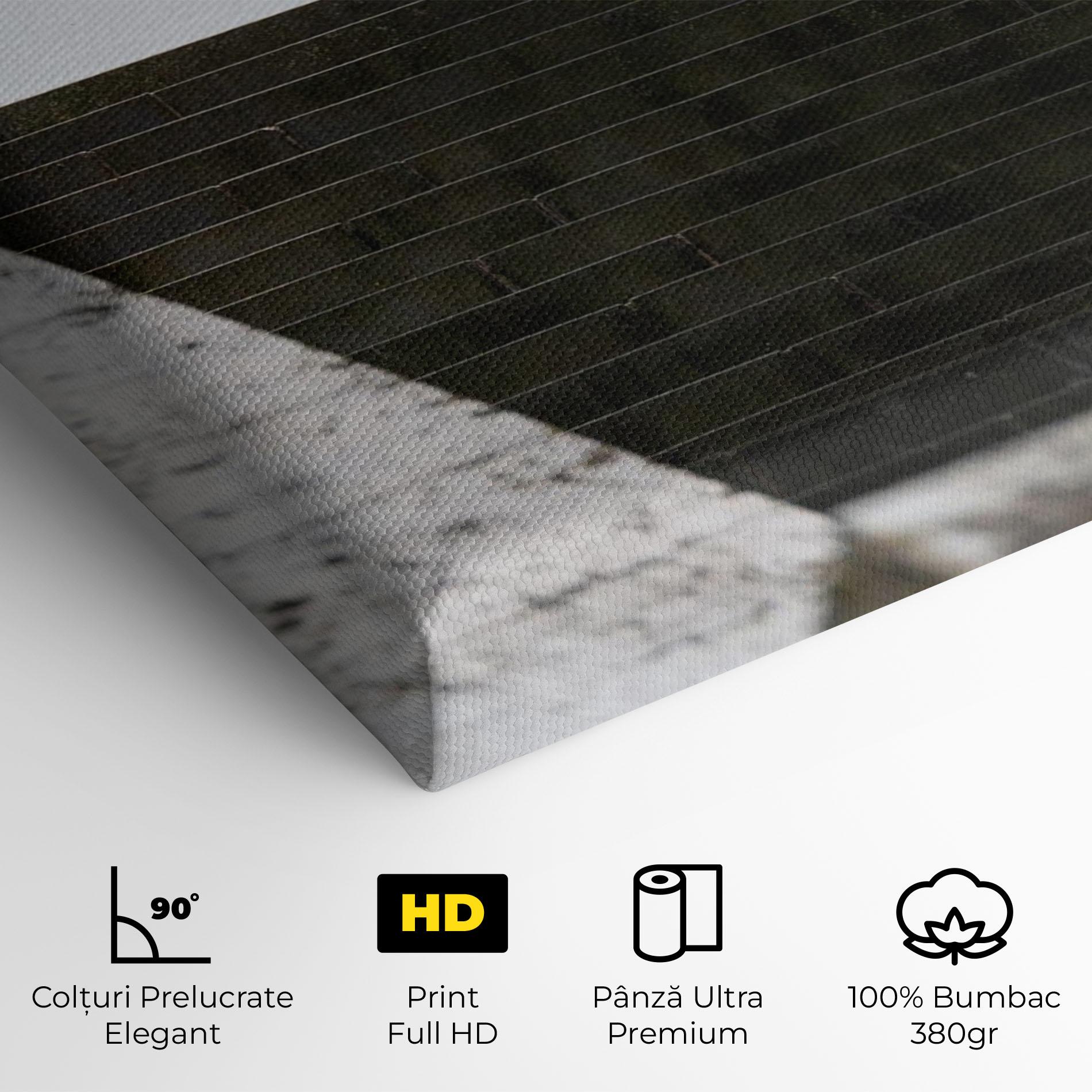 Tablou Canvas Black Stairs mockup 4