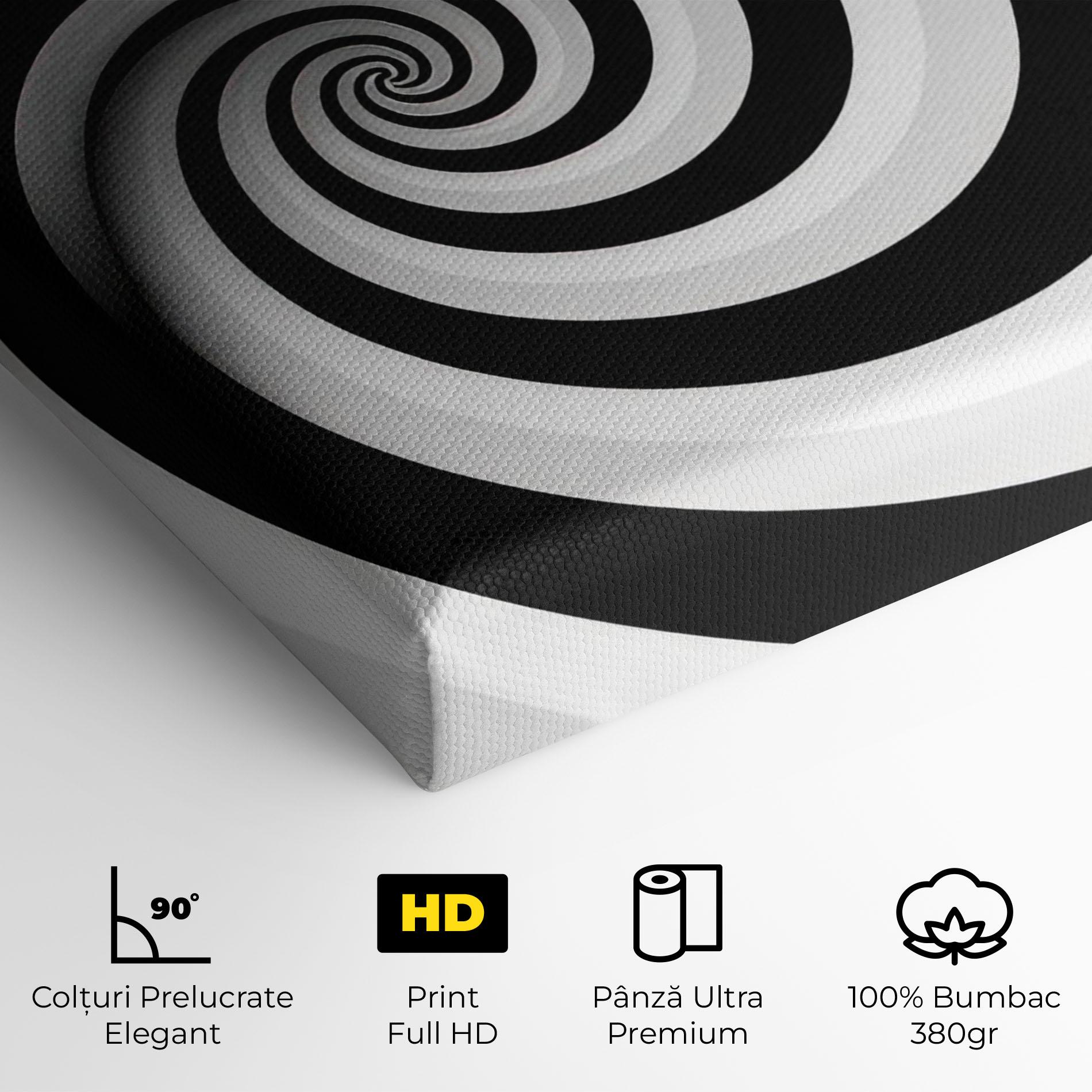 Tablou Canvas Black White Spiral mockup 4