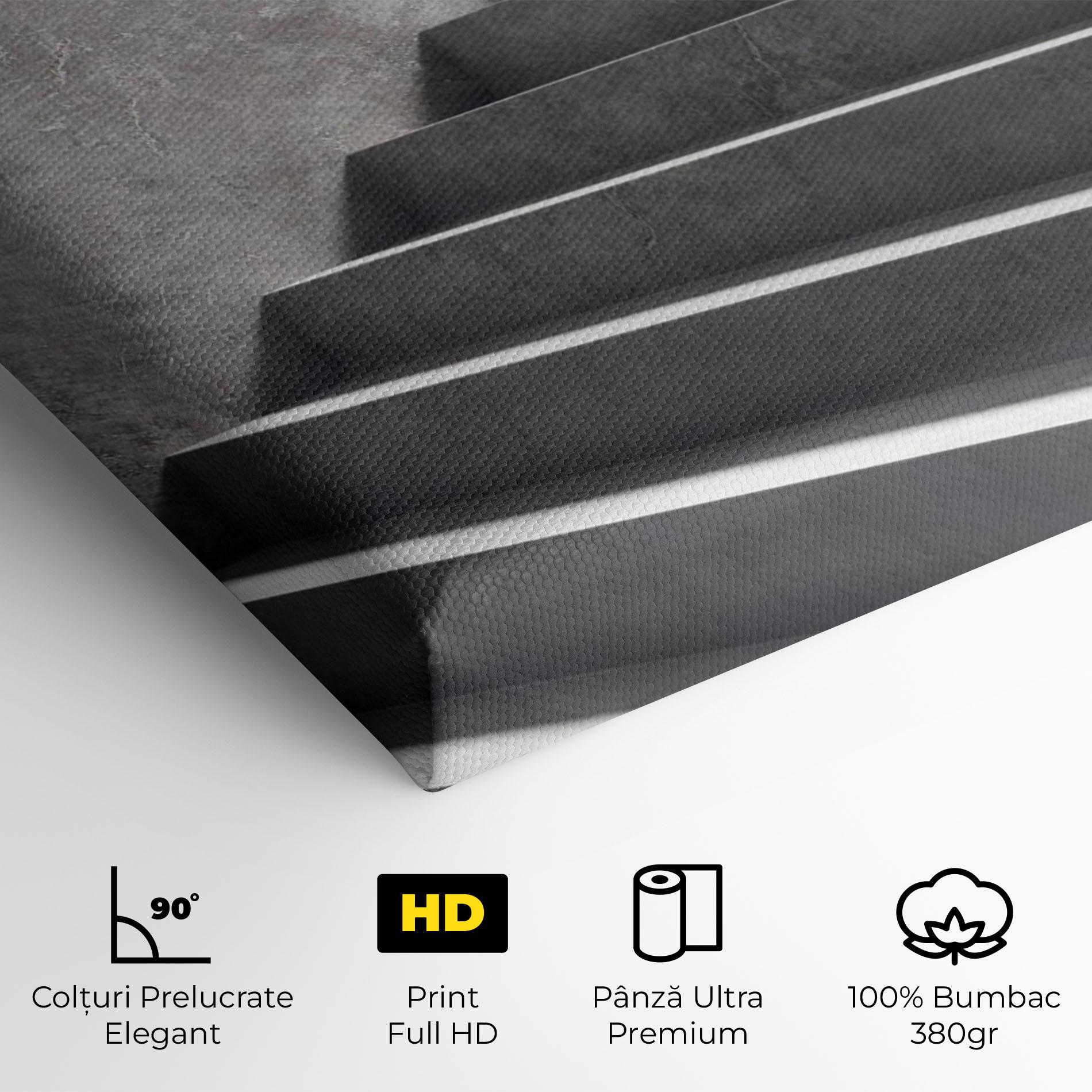 Tablou Canvas Concrete Stairs mockup 4