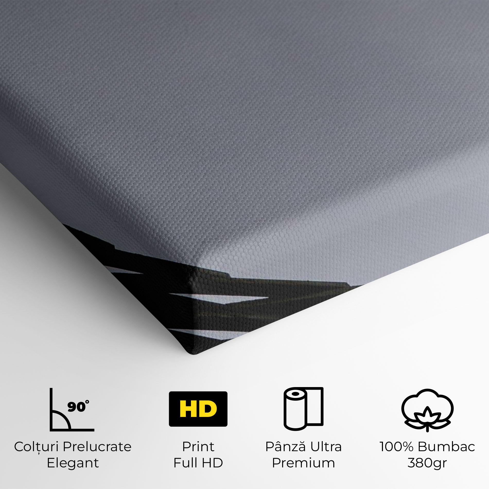 Tablou Canvas Grey Circle Lines mockup 4