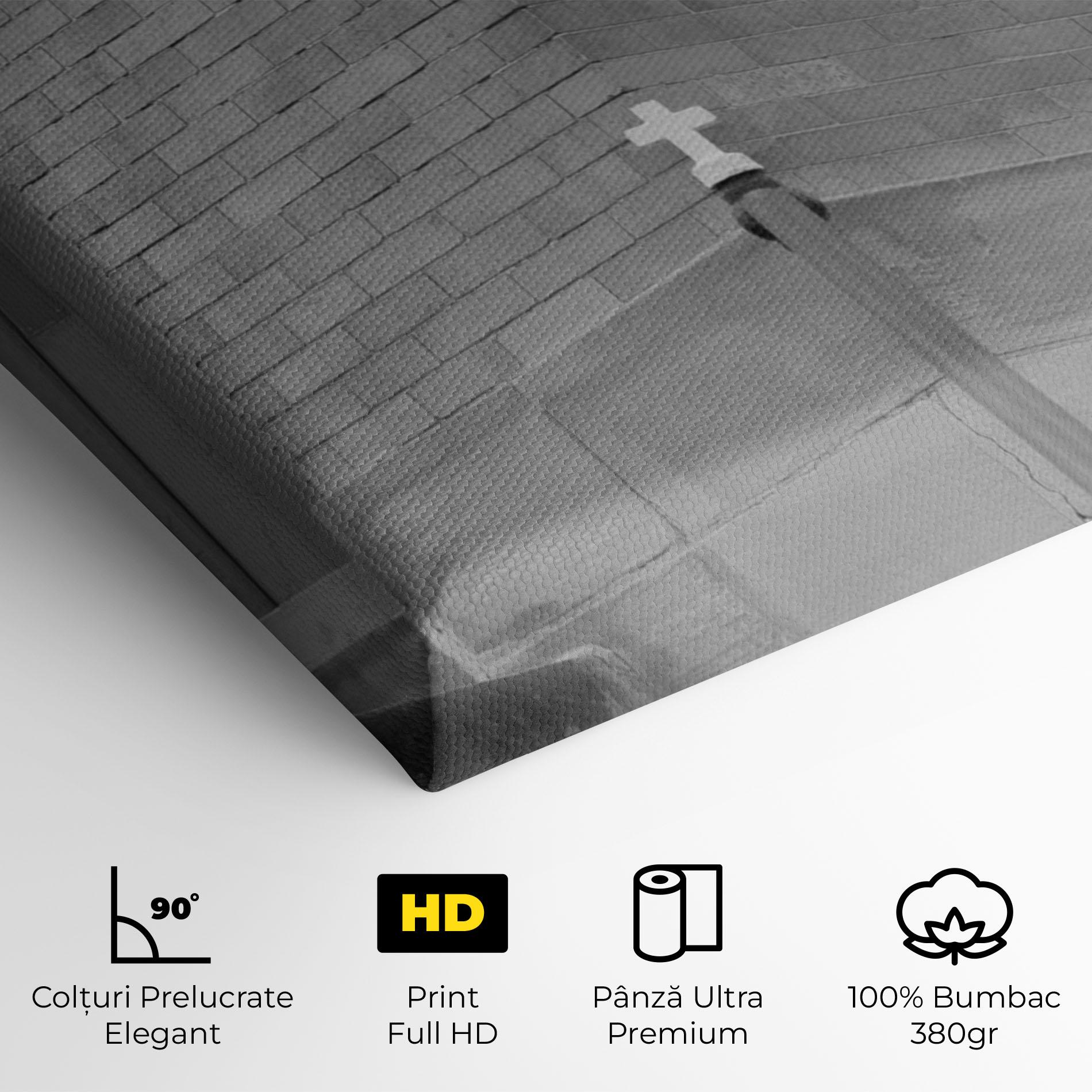 Tablou Canvas Grey Dors mockup 4