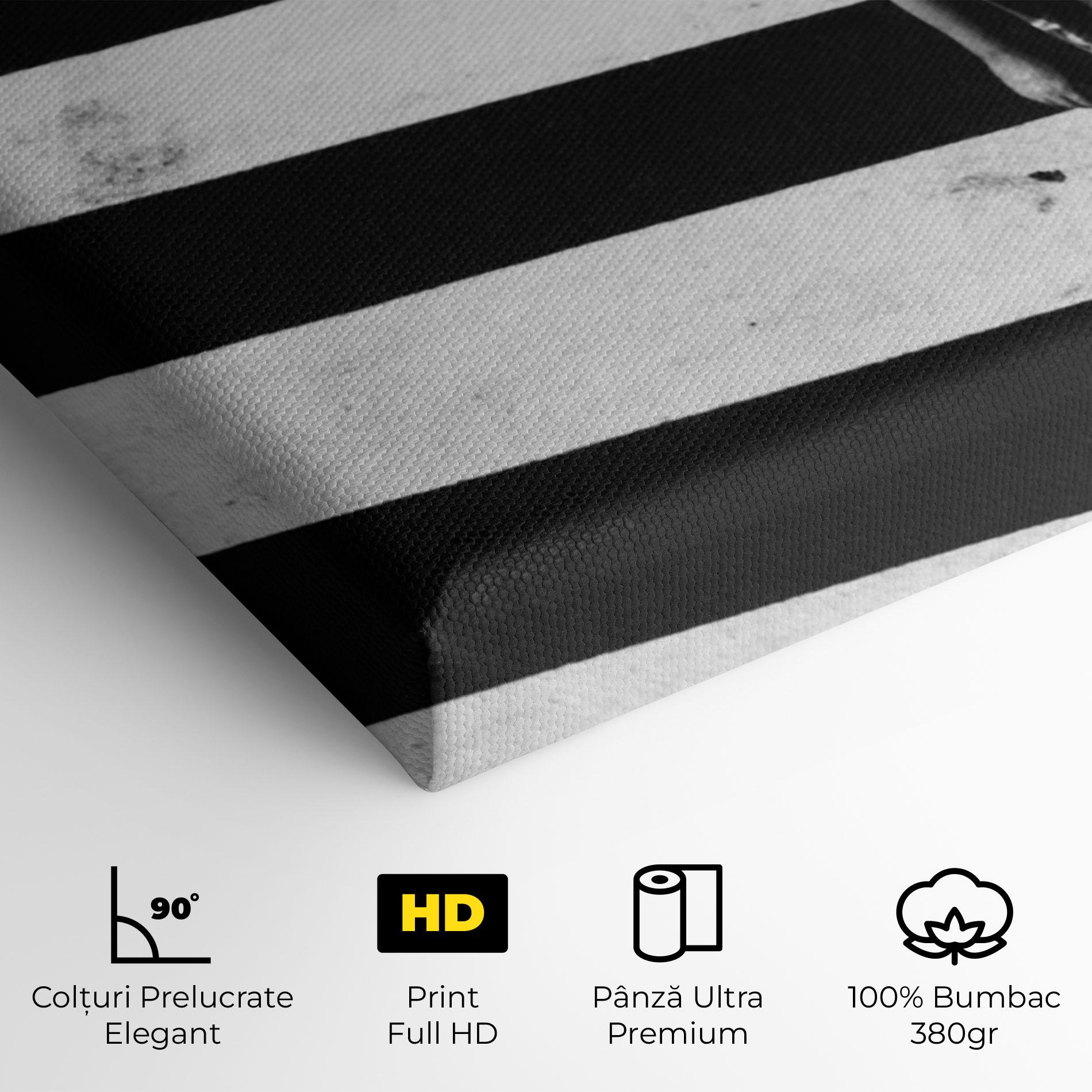 Tablou Canvas Walking On Lines mockup 4