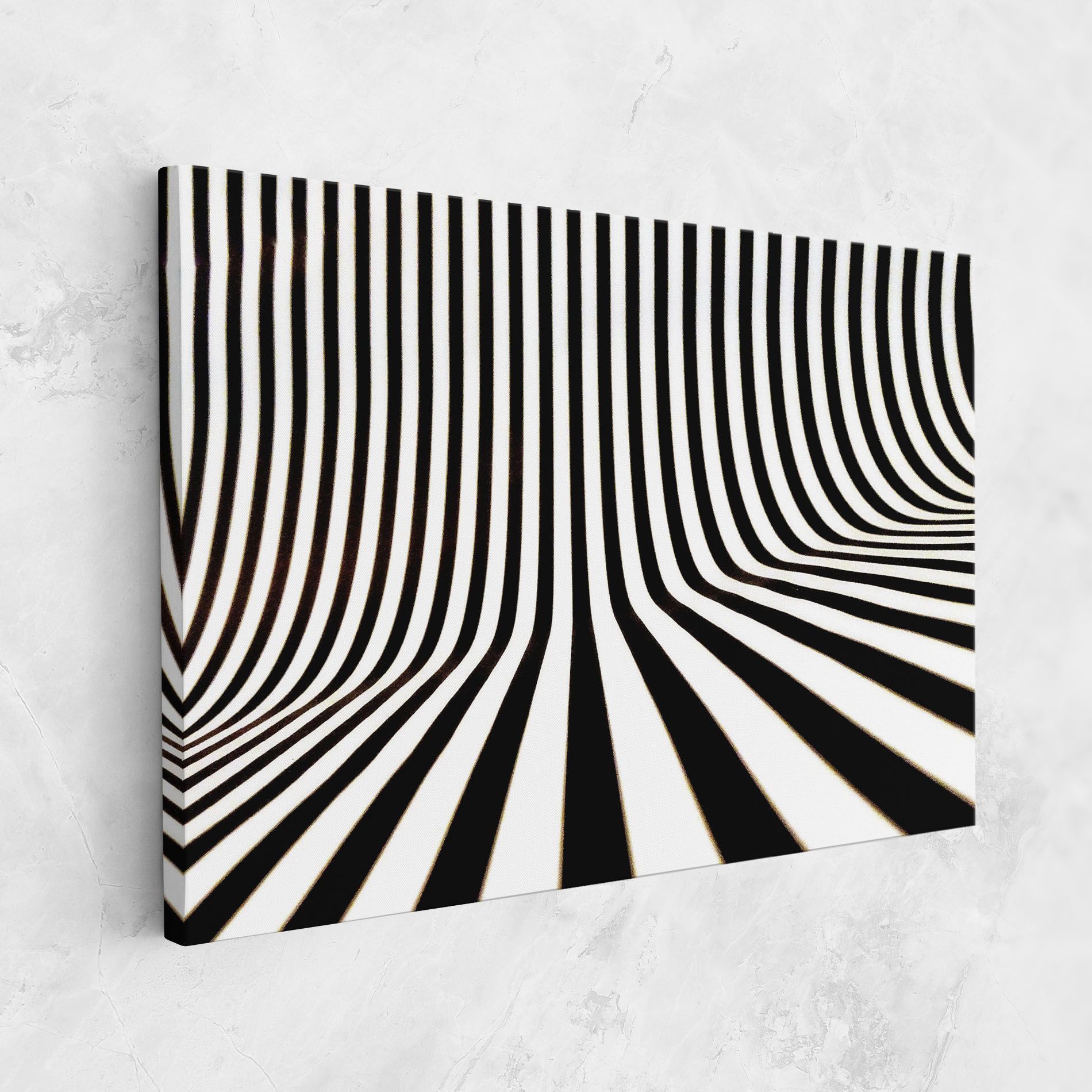 Black And White Illusion mockup 1