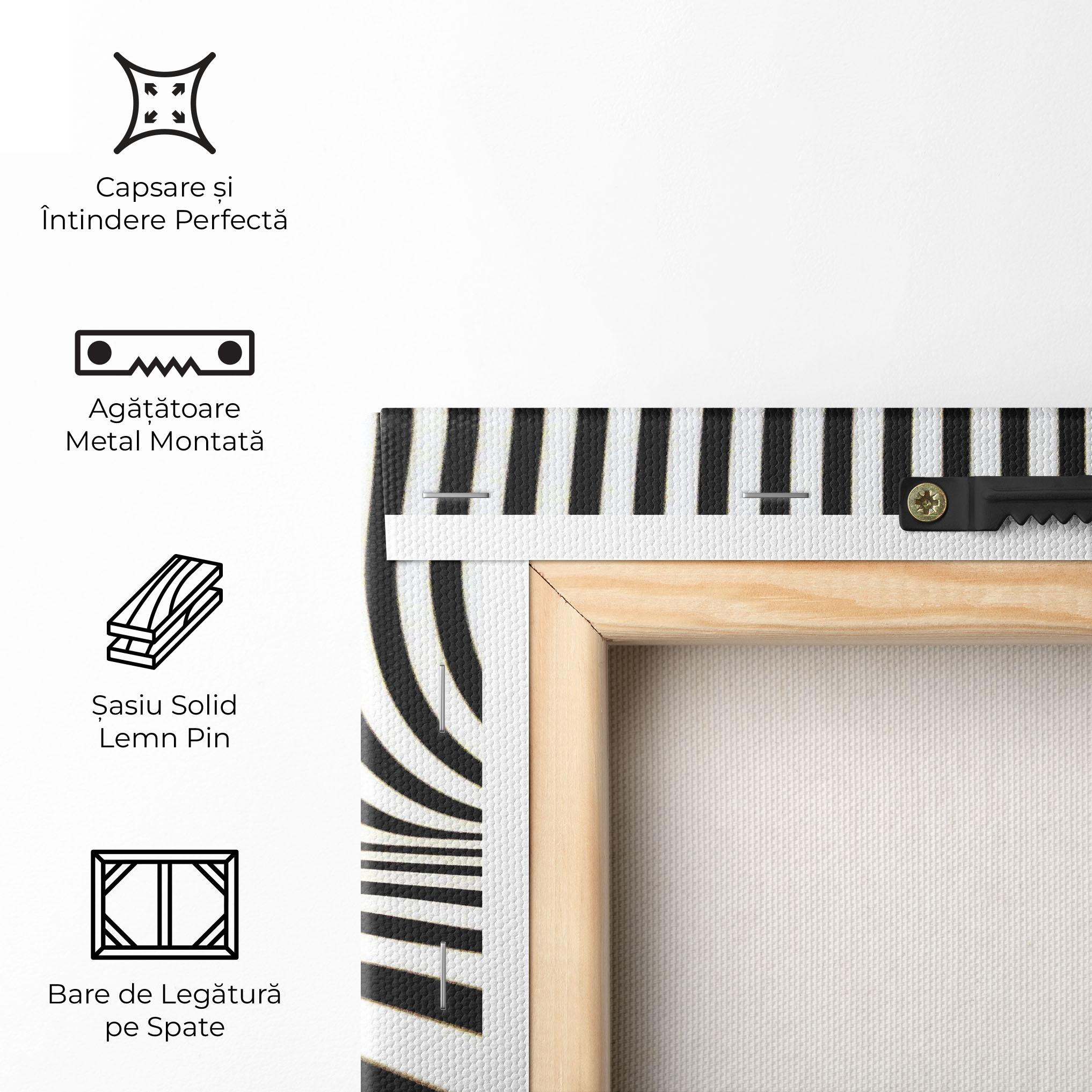 Tablou Canvas Black And White Illusion mockup 5
