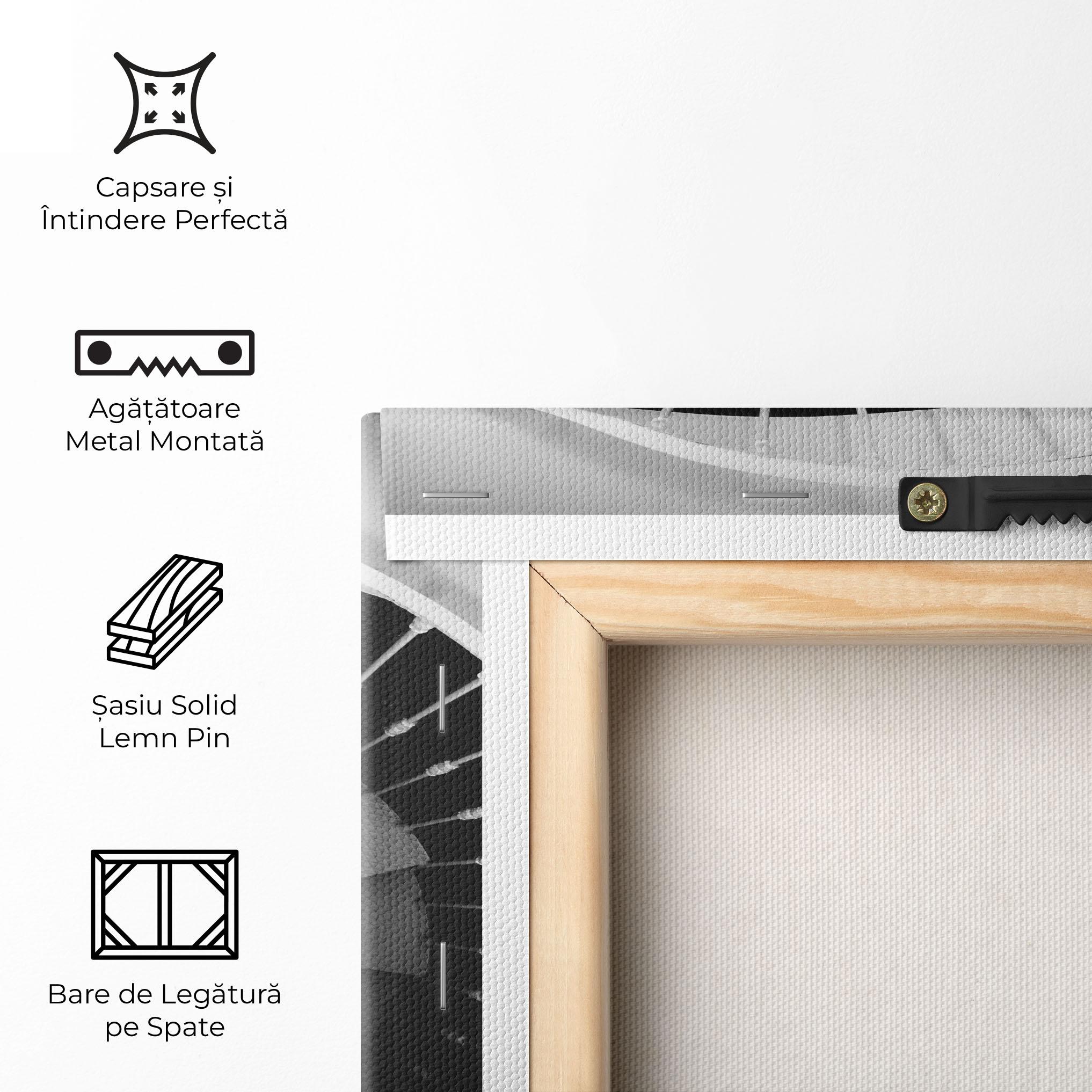 Tablou Canvas Black Circle Stairs mockup 5