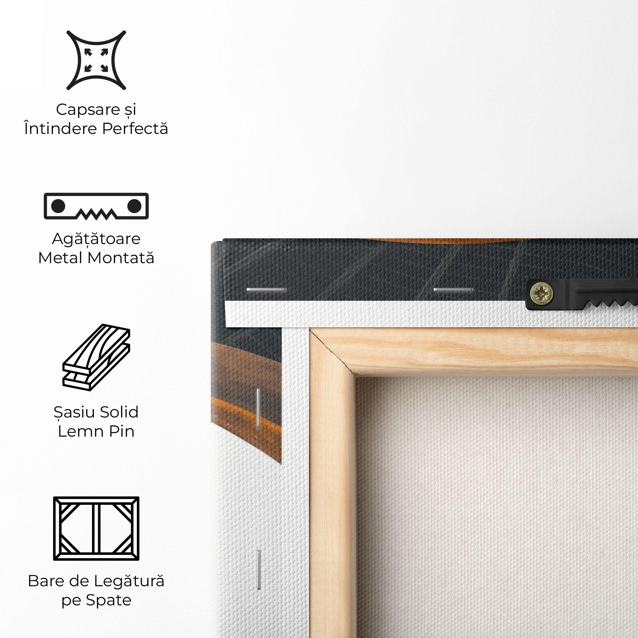 Tablou Canvas Black Spiral Stairs mockup 5