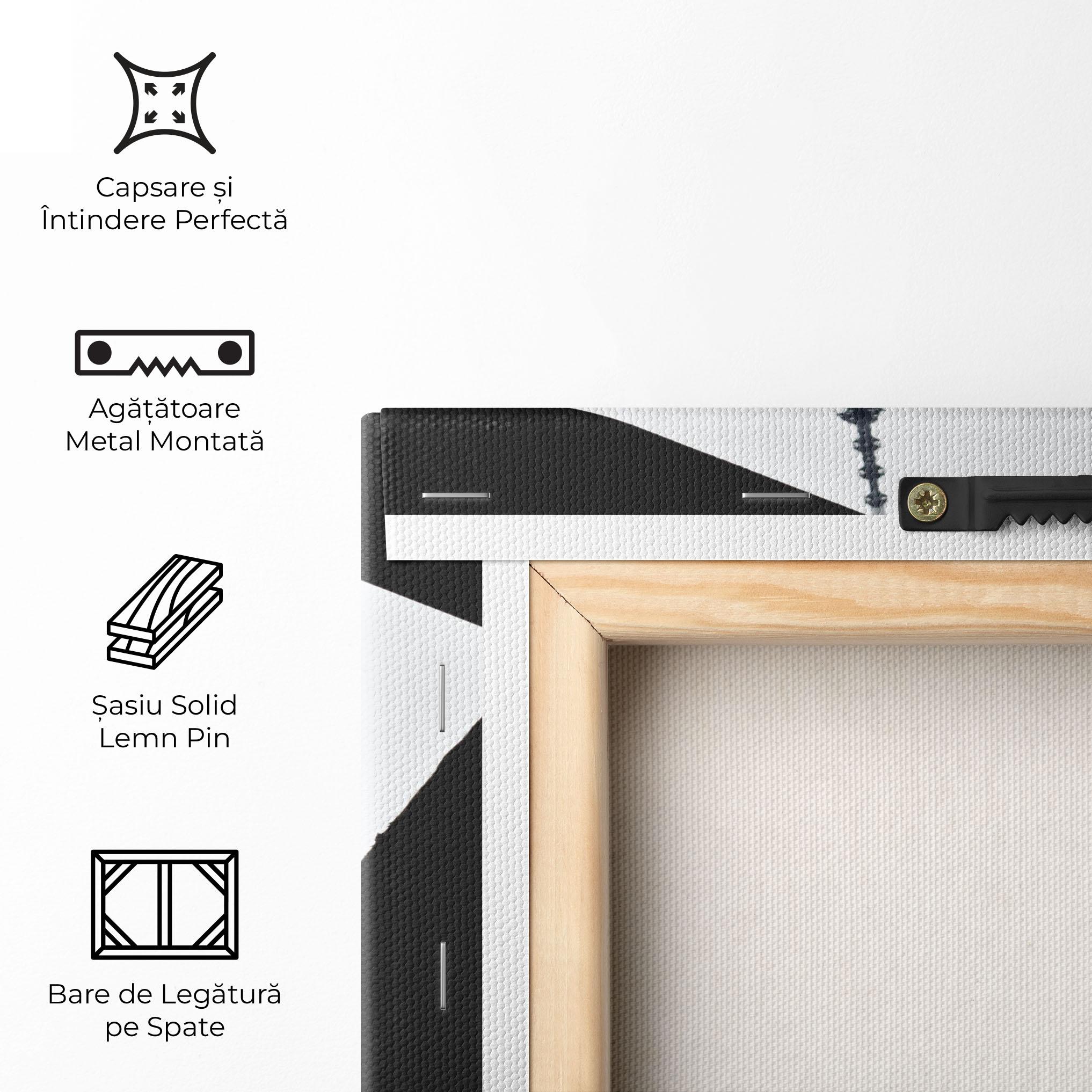 Tablou Canvas Black Stairs Floating mockup 5