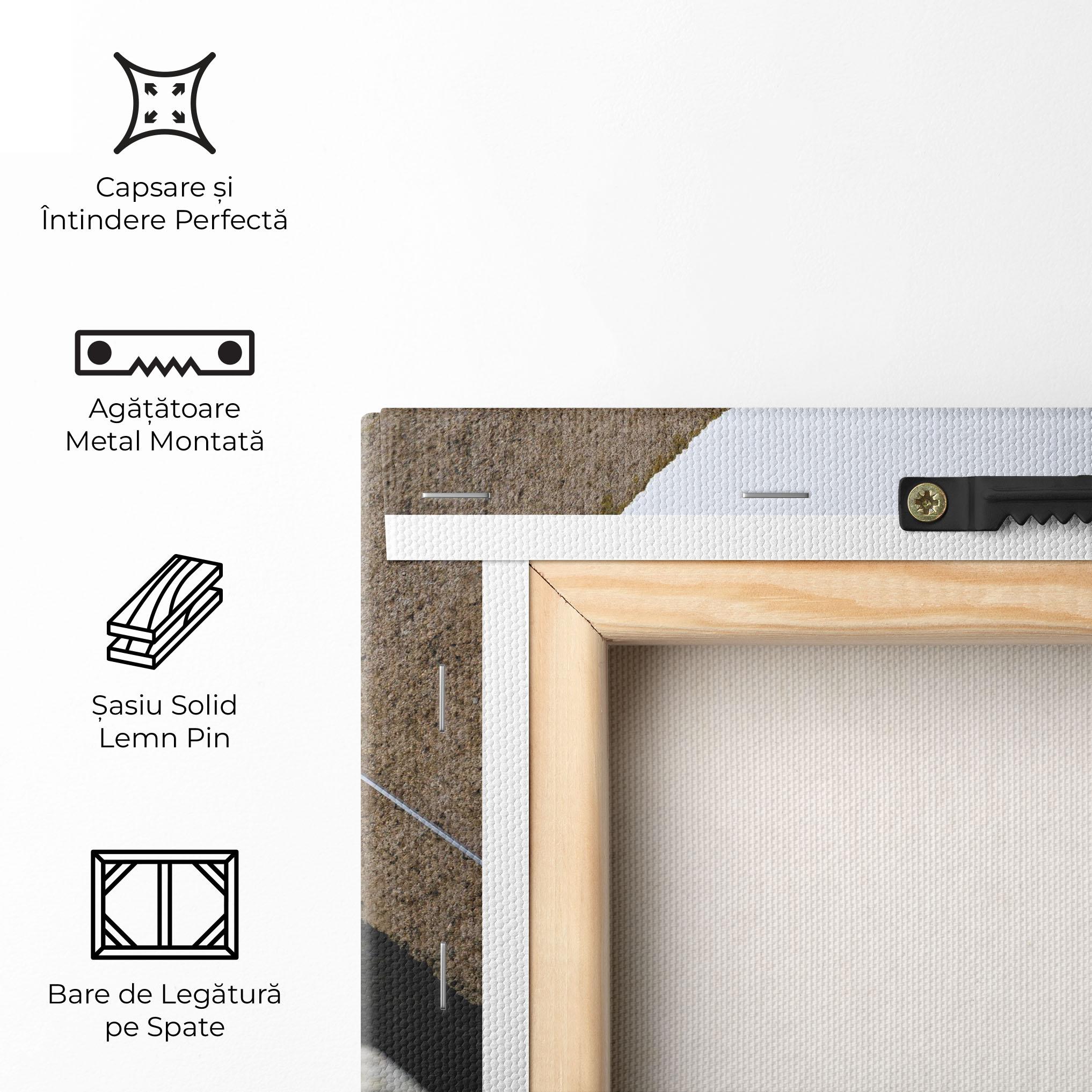 Tablou Canvas Black Stairs mockup 5