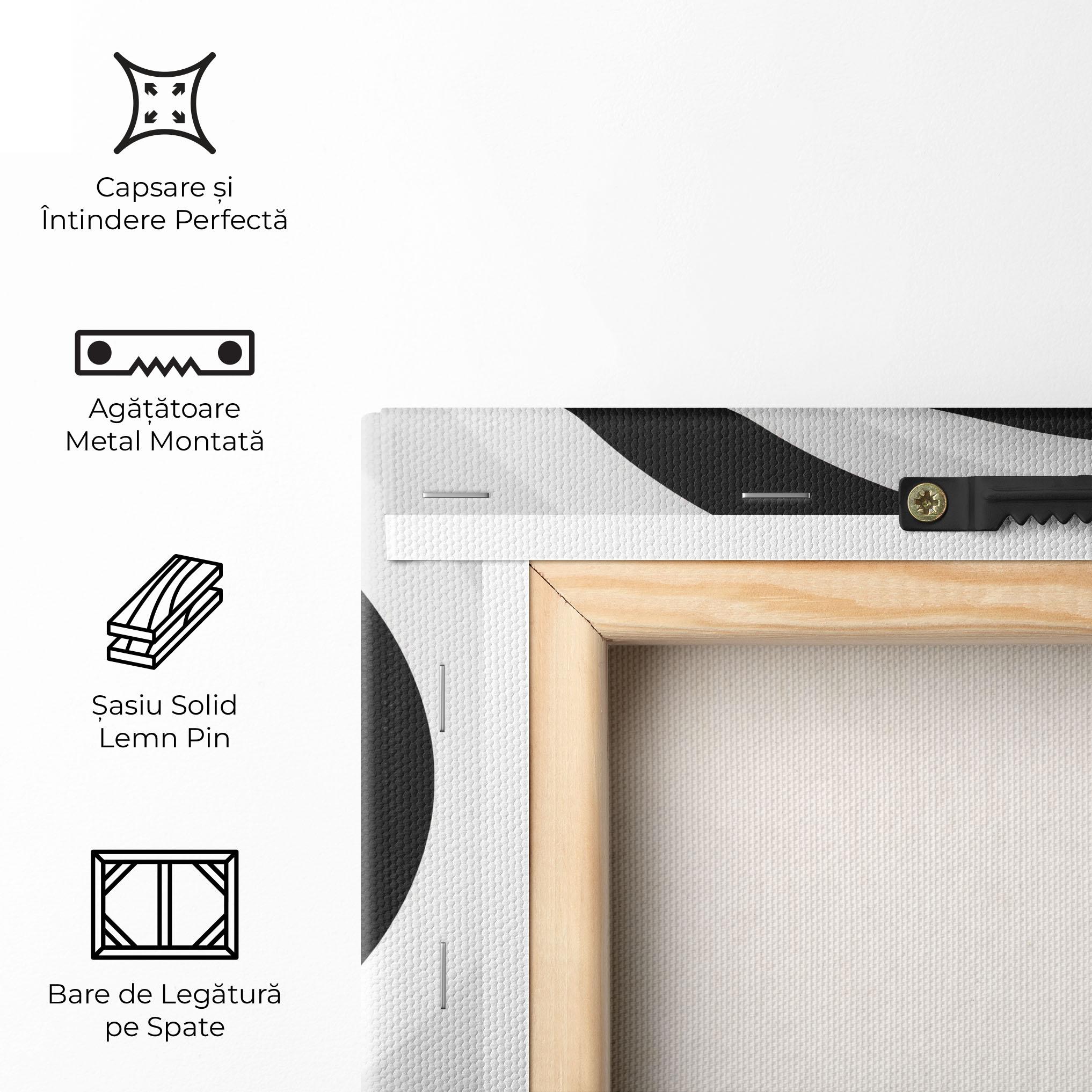 Tablou Canvas Black White Spiral mockup 5