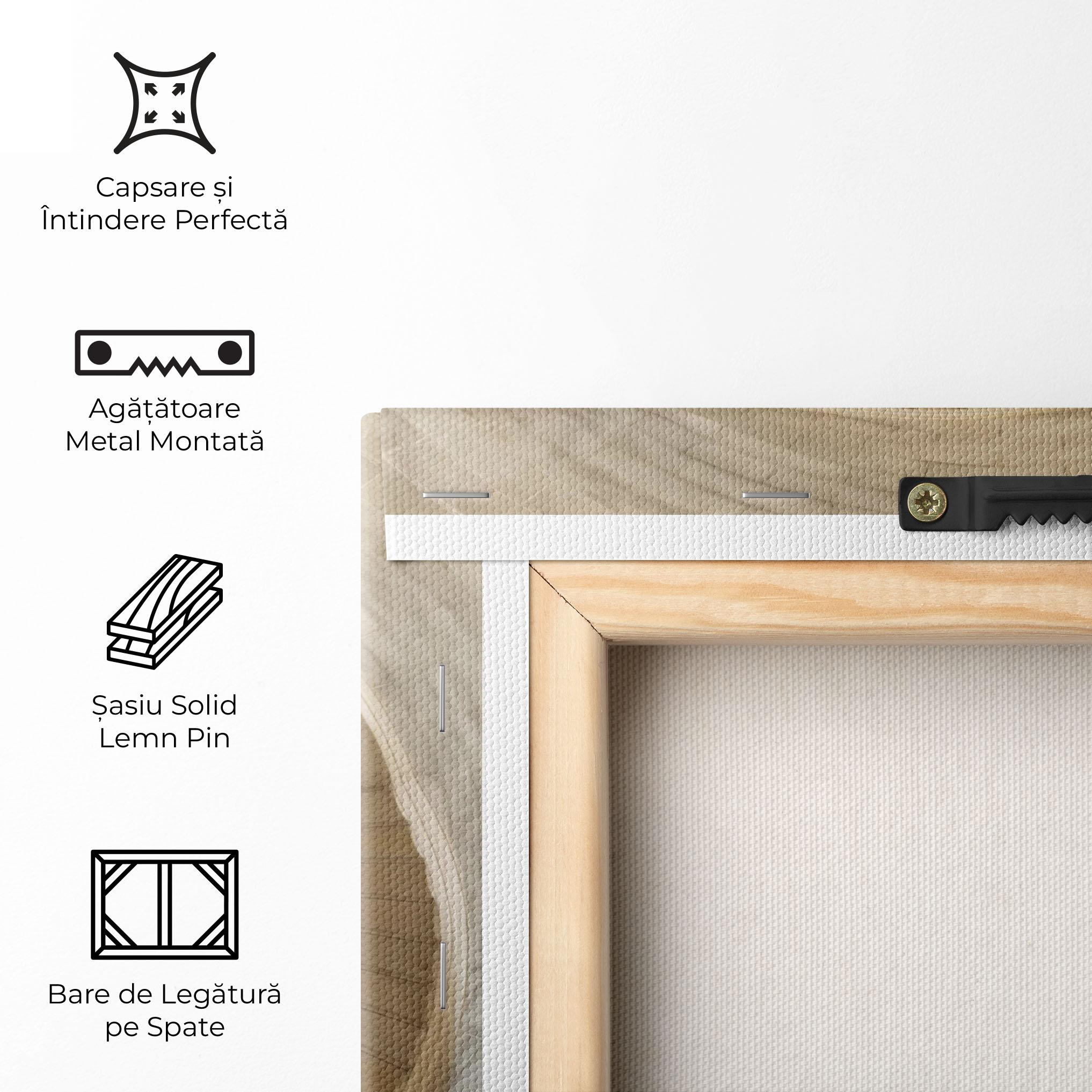 Tablou Canvas Cream Down Stairs mockup 5