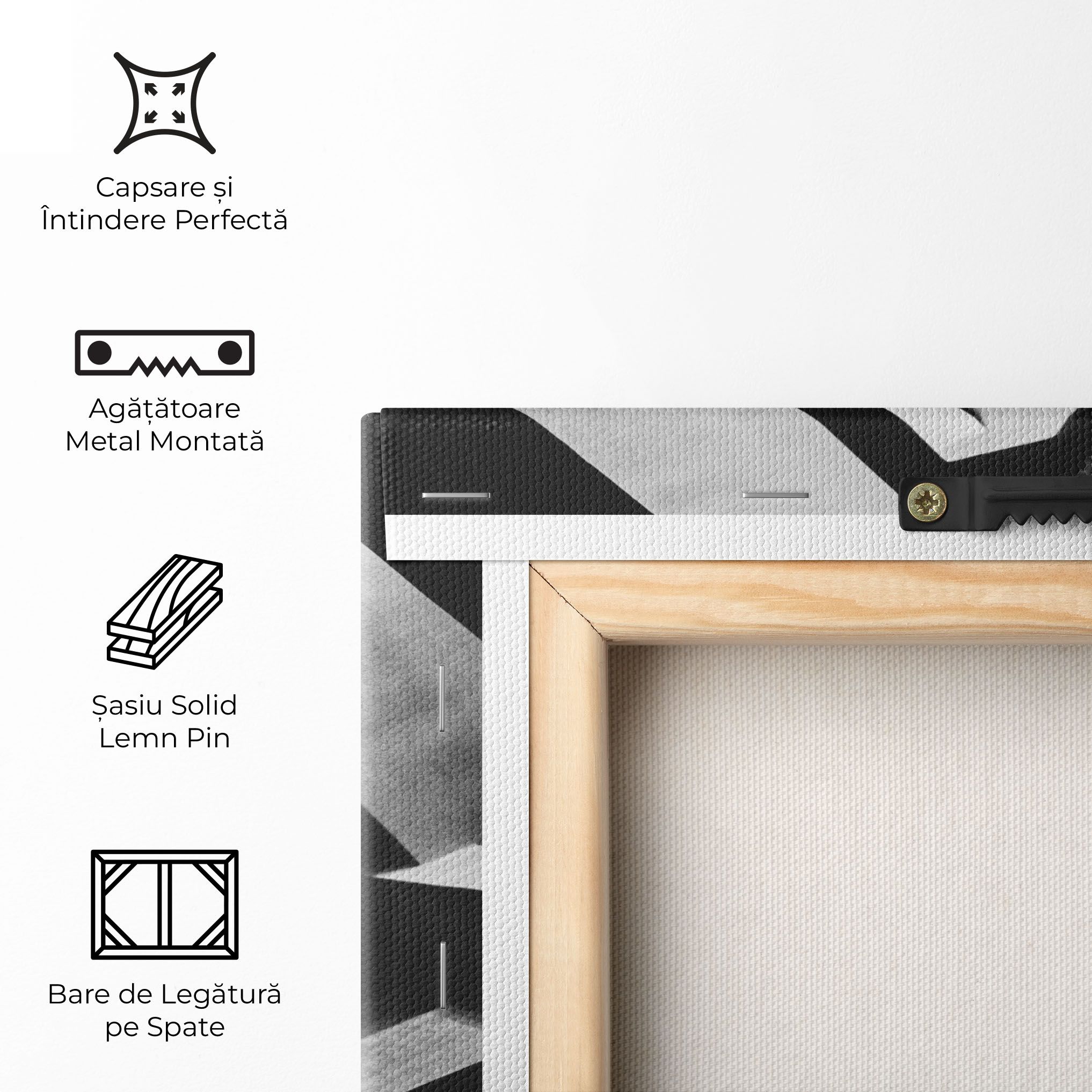 Dark Shadow mockup 5