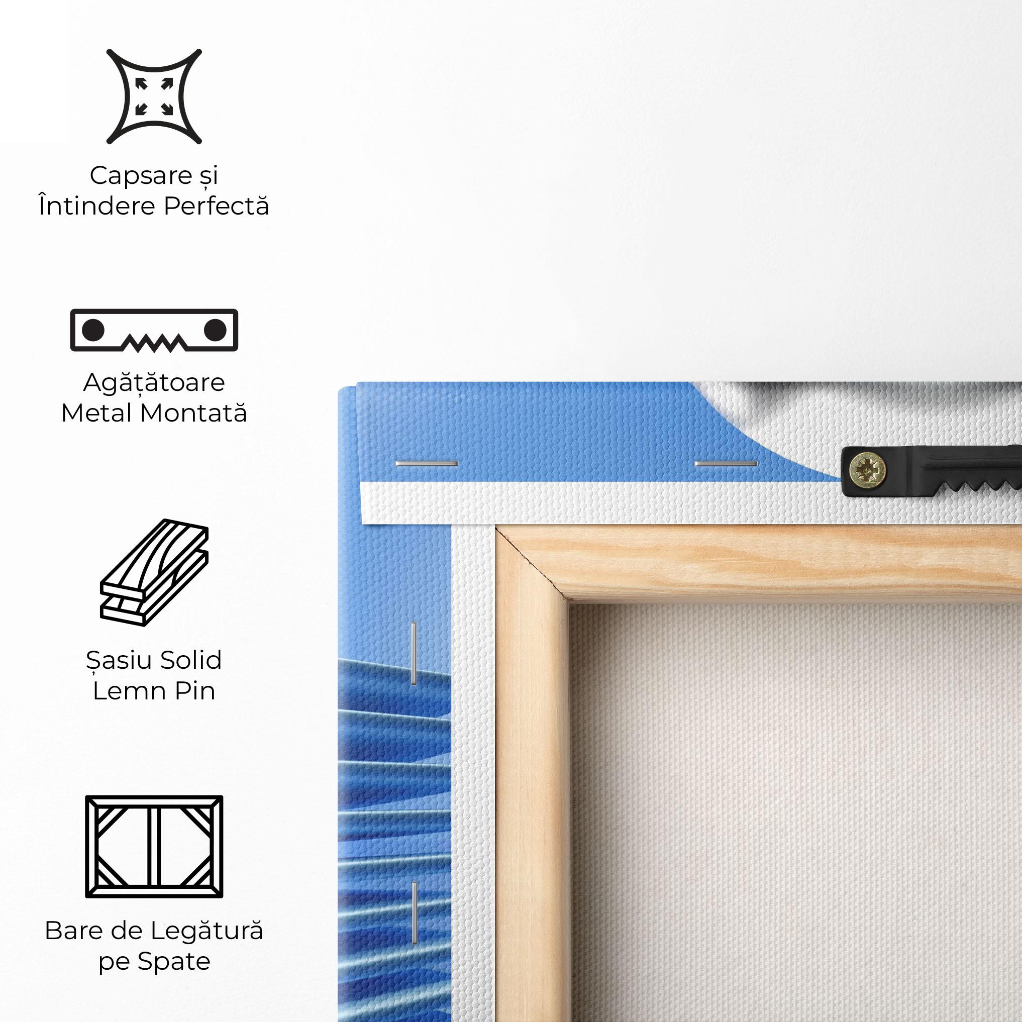 Tablou Canvas Silver Ball mockup 5