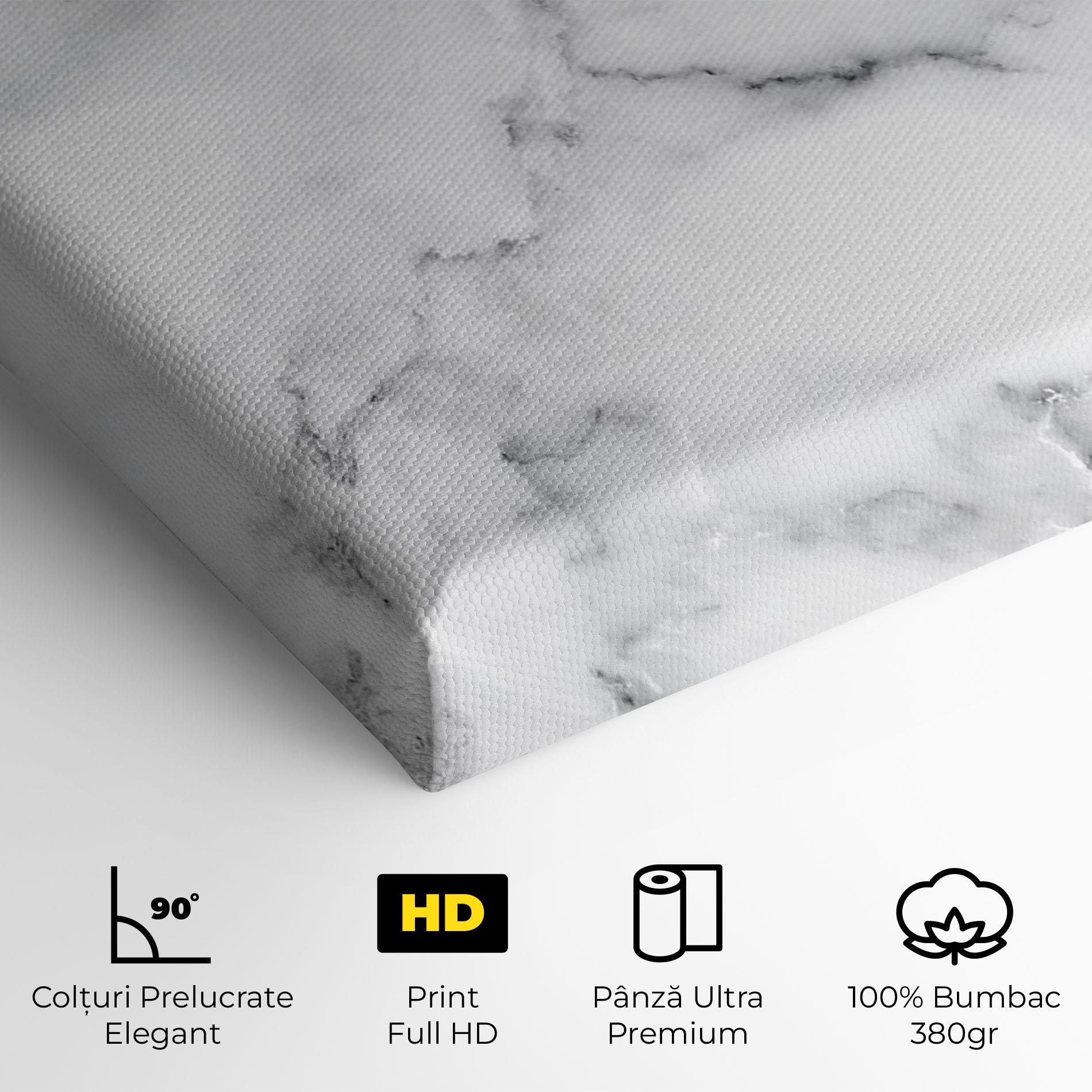 Tablou Canvas Basic White Marble mockup 4