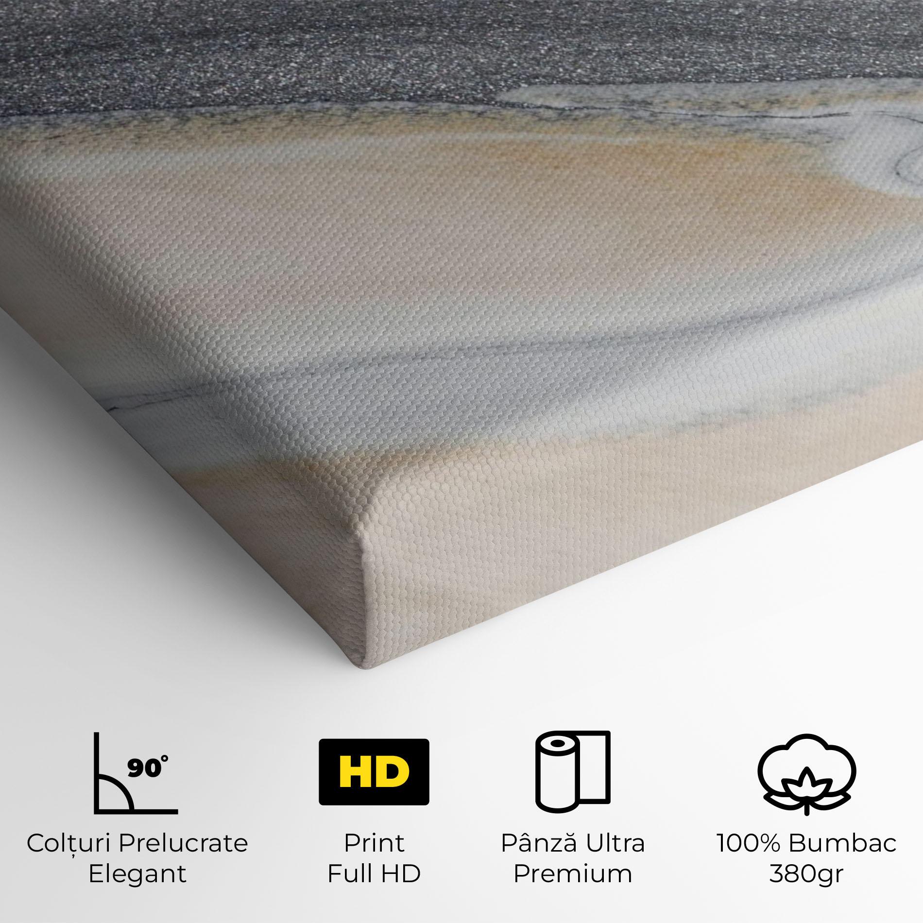 Tablou Canvas Black Light Grey mockup 4