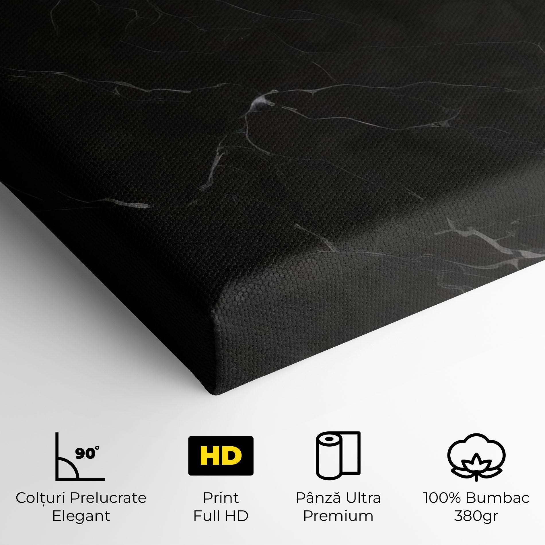 Tablou Canvas Black Marble mockup 4