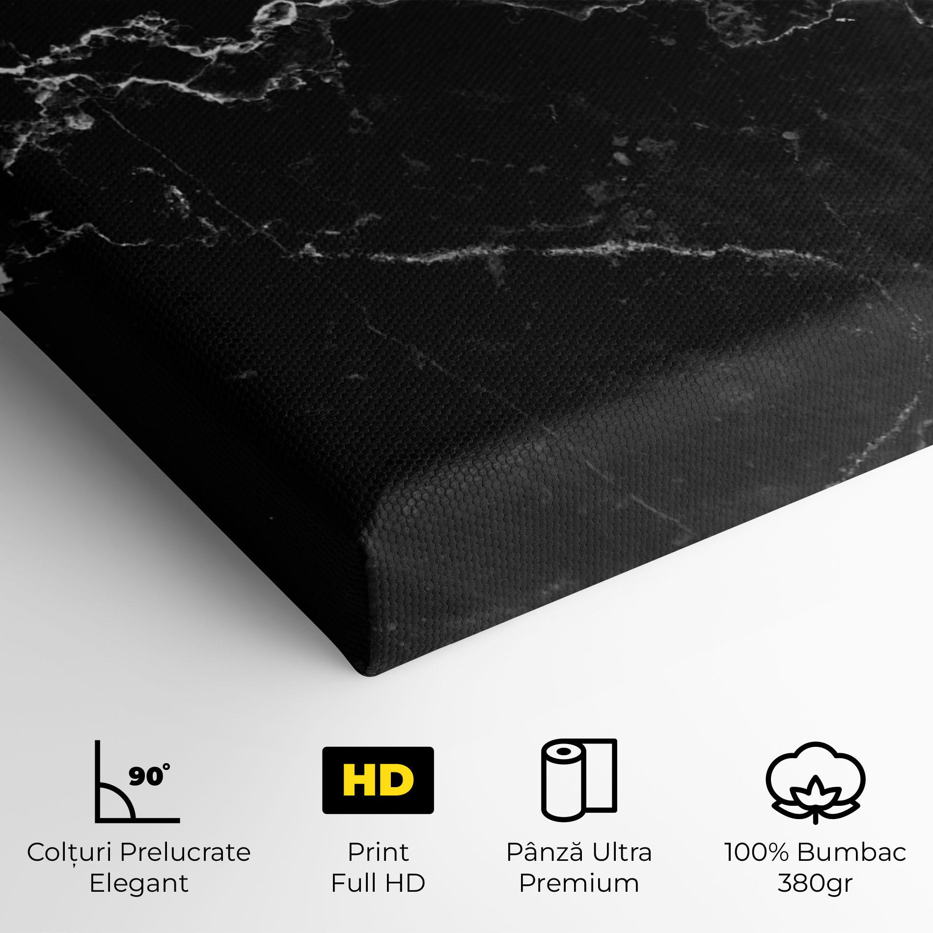 Tablou Canvas Black White Marble mockup 4
