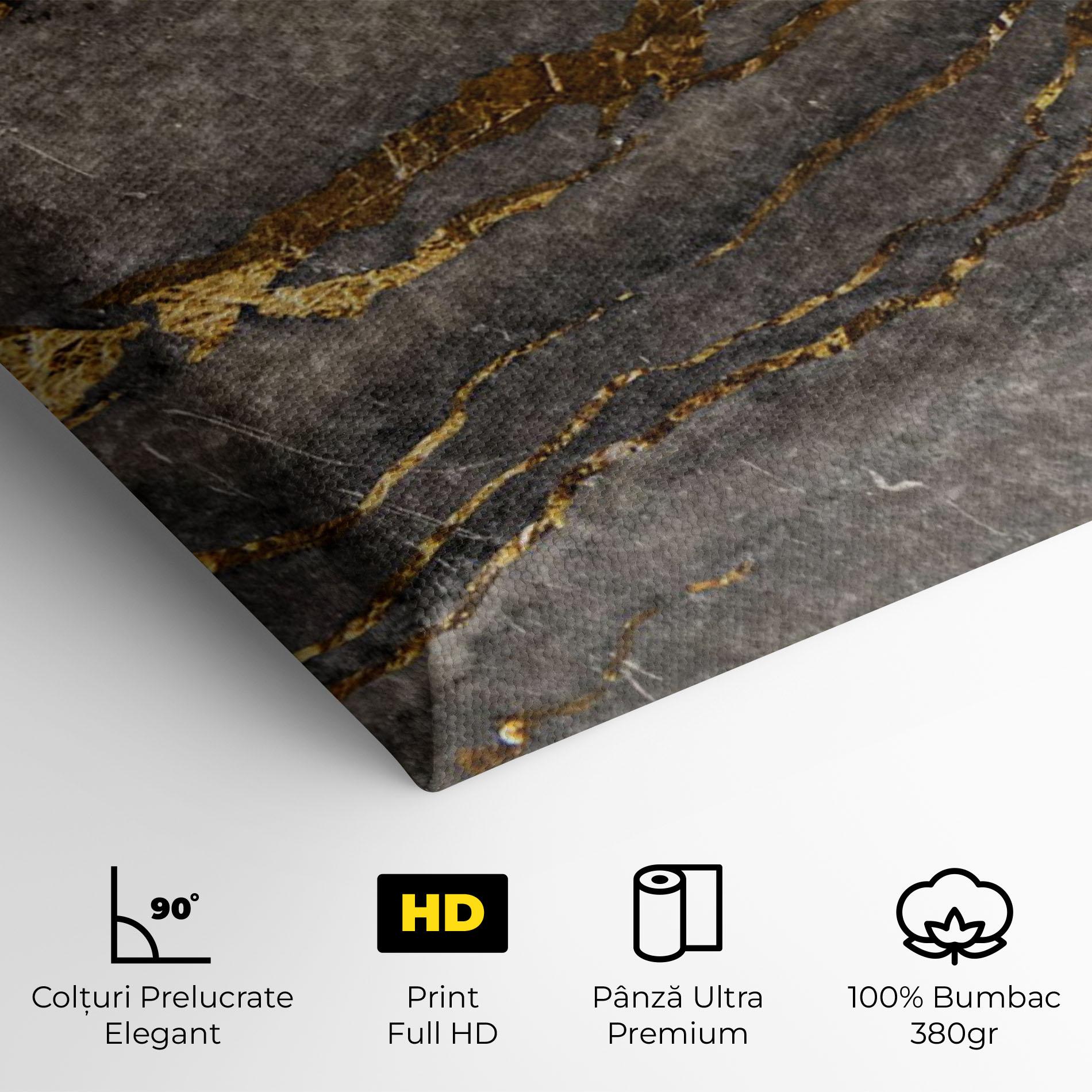 Tablou Canvas Dark Colden Grey mockup 4