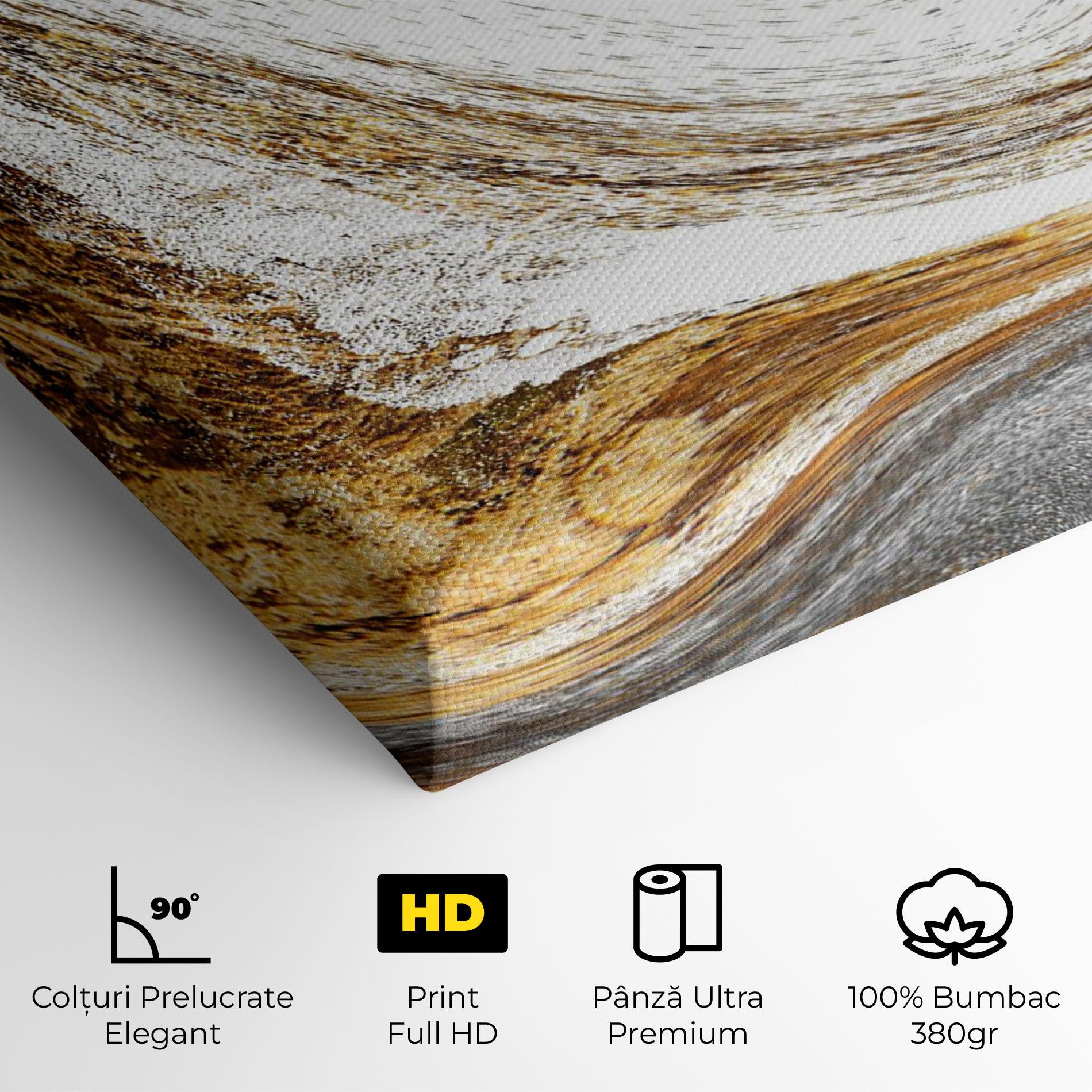 Tablou Canvas Gold White Liquid mockup 4