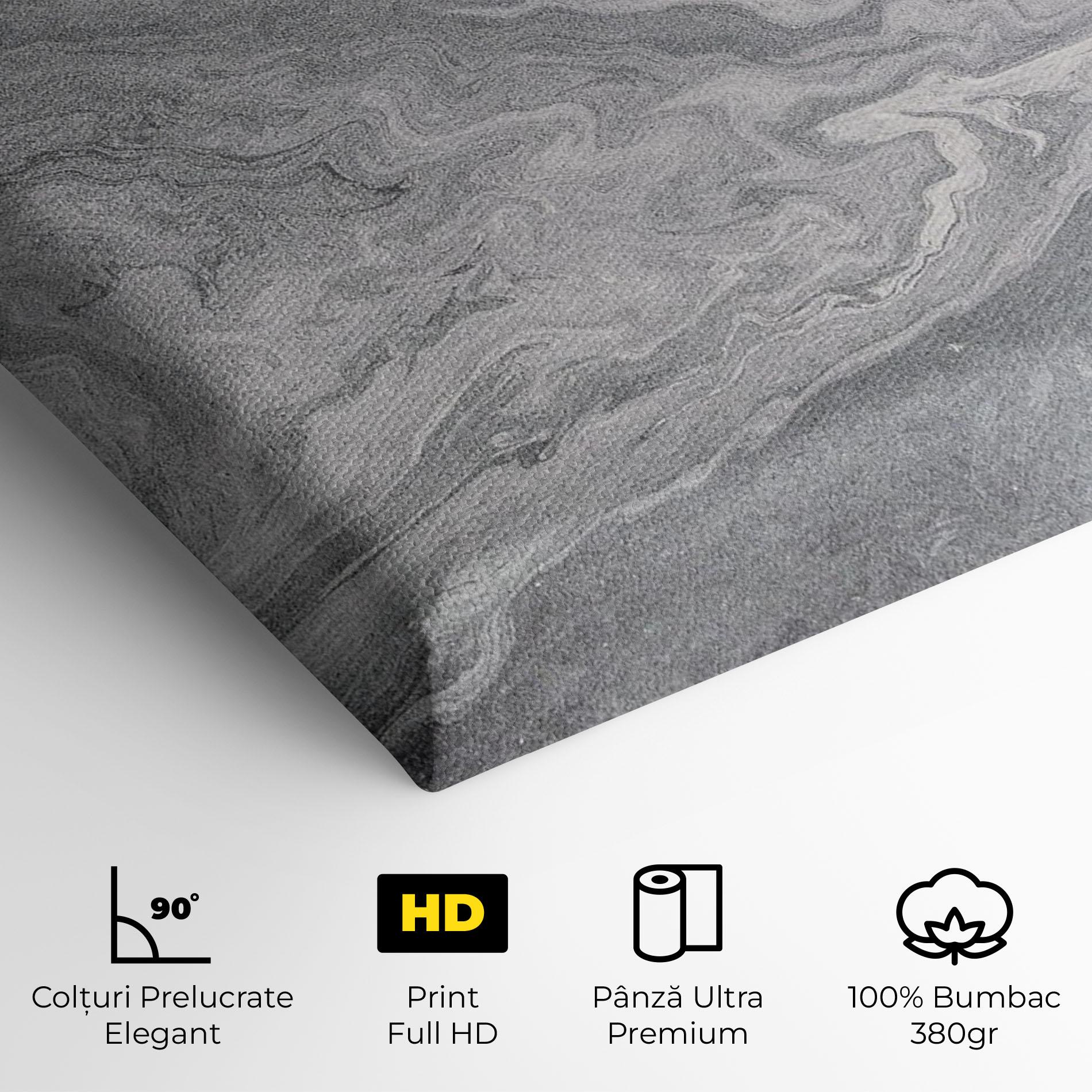 Tablou Canvas Grey Liquid Marble mockup 4